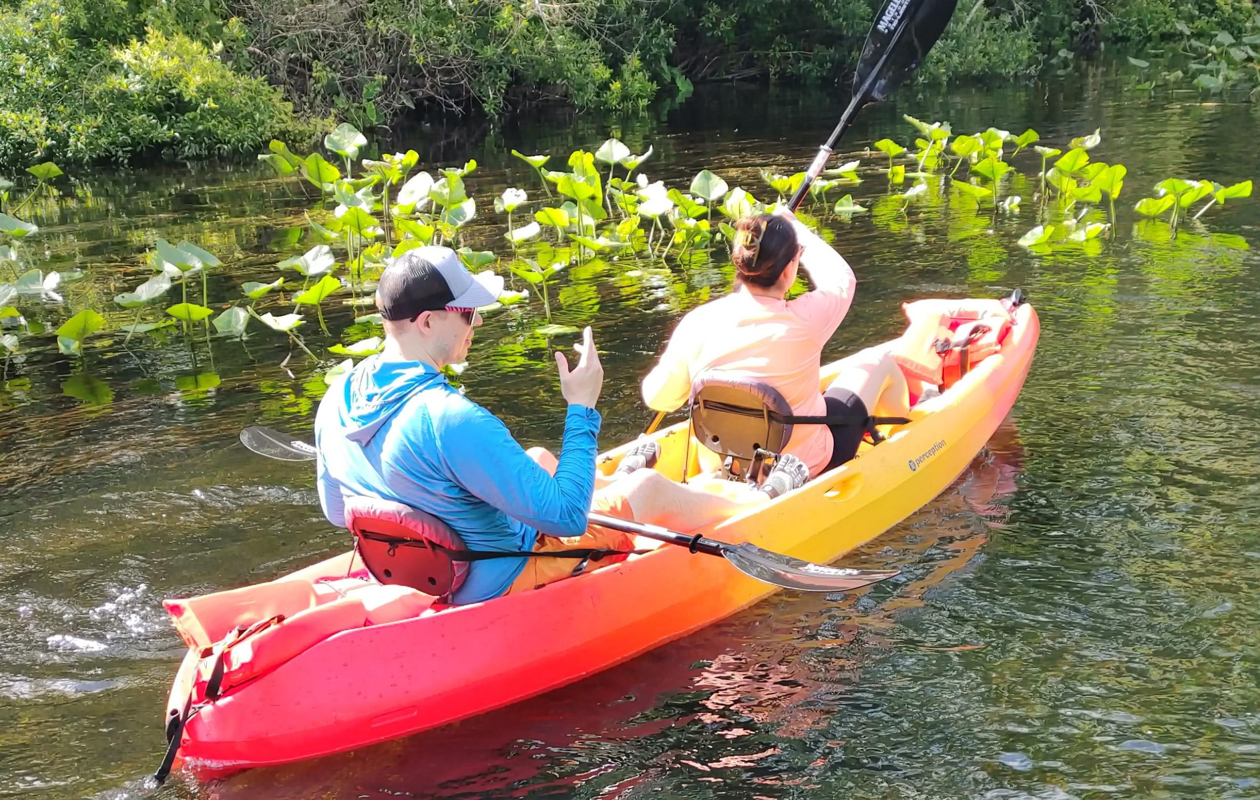 Orlando: Blue Springs Manatee Kayak Tour – Saint Johns River, Florida