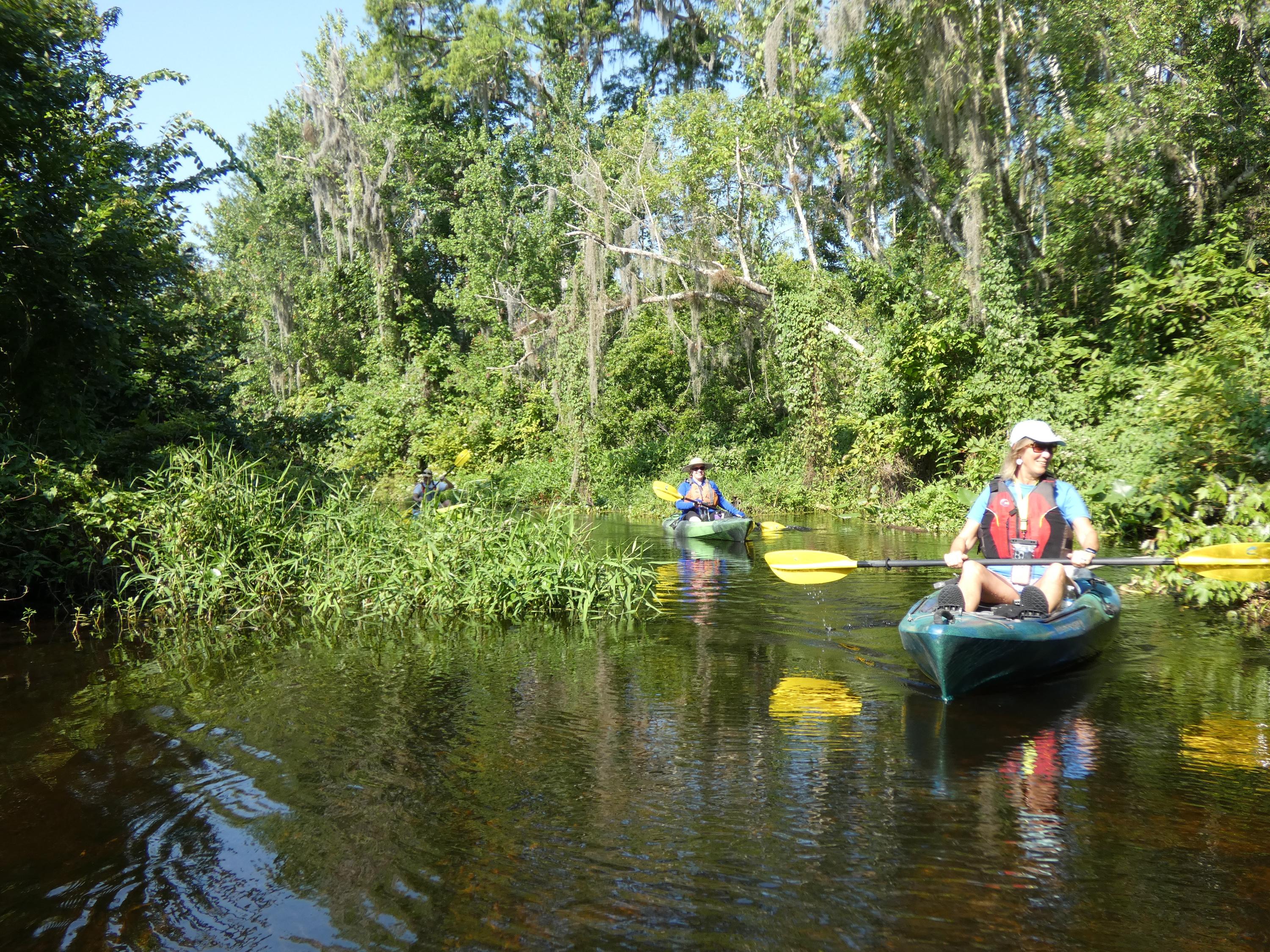 Orlando: Small Group Scenic Wekiva River Kayak Tour – Wekiwa Springs State Park, Florida