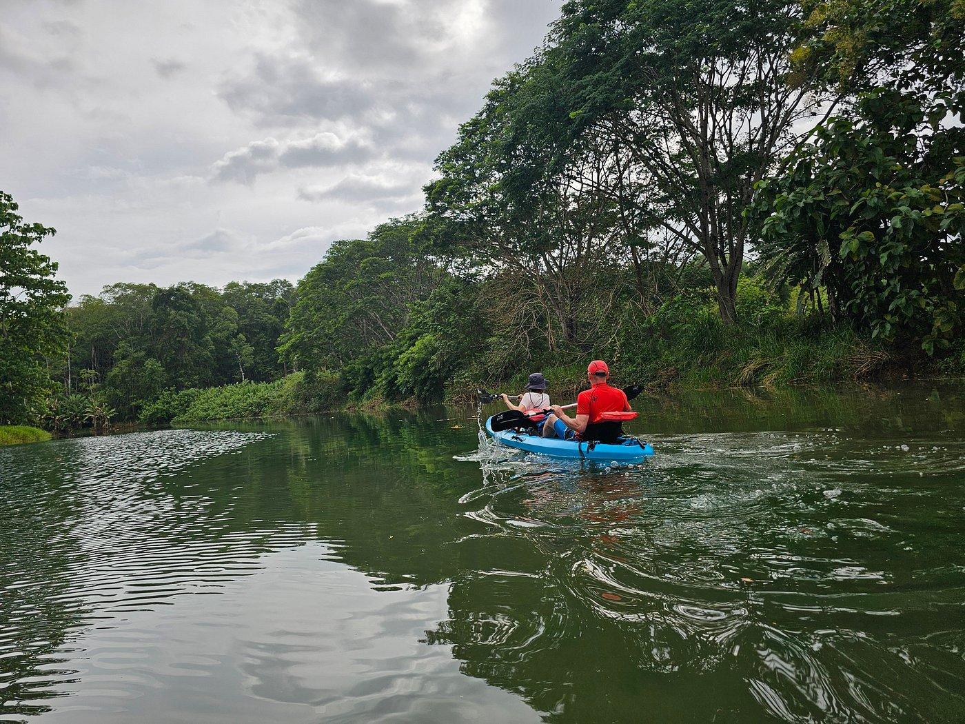 Osa Peninsula: Mangrove Kayaking Tour with Beach Break – Coronado, Costa Rica
