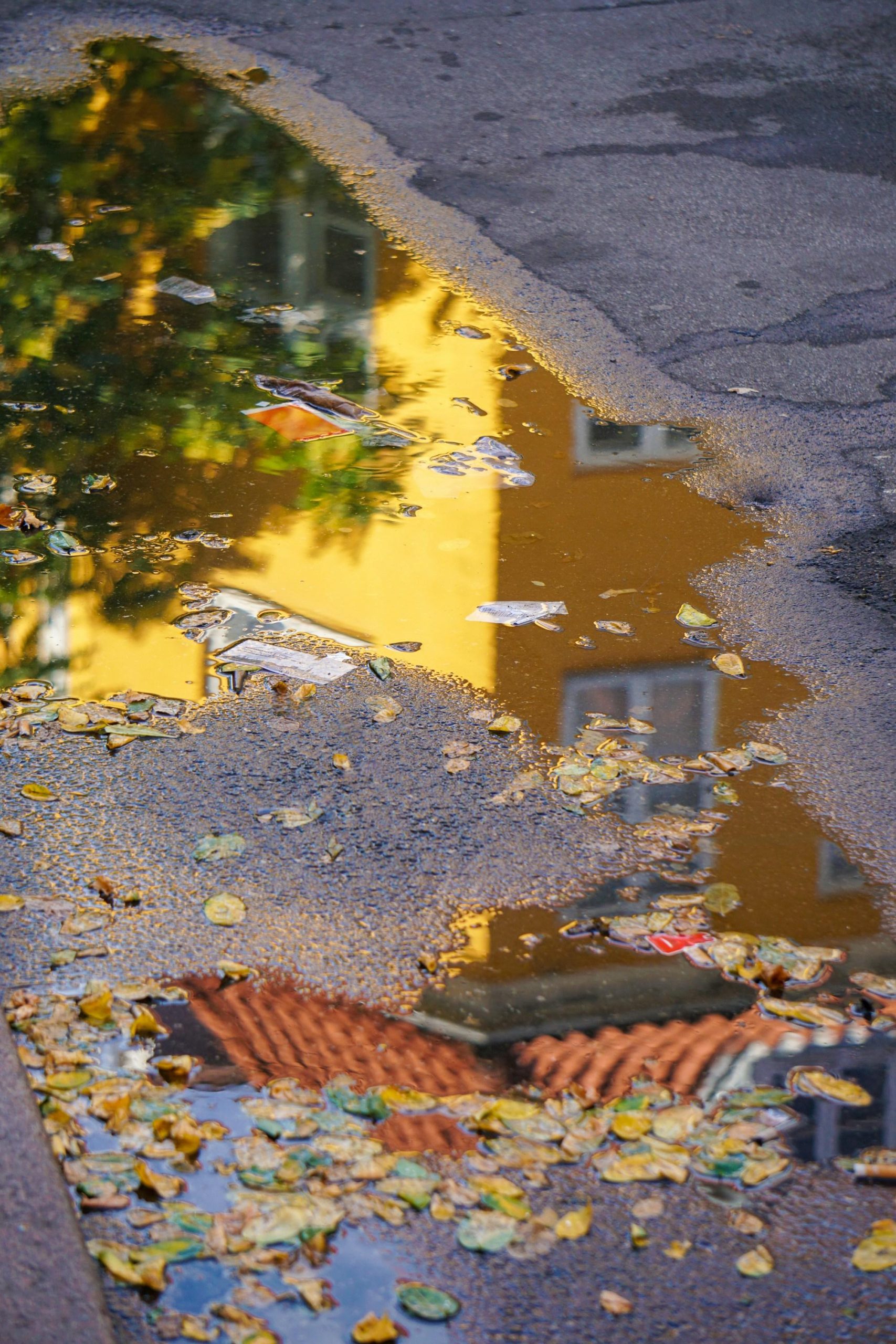 Østerbro: Evening Treats & Insights Walking Tour – Copenhagen, Denmark