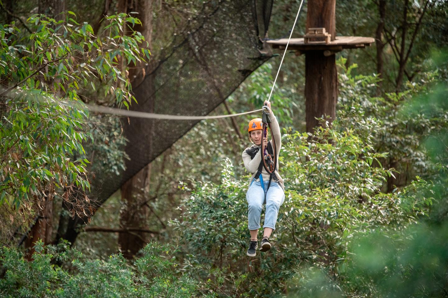 Ourimbah: Central Coast Treetops Adventure Tree Ropes Course – Ourimbah, Australia