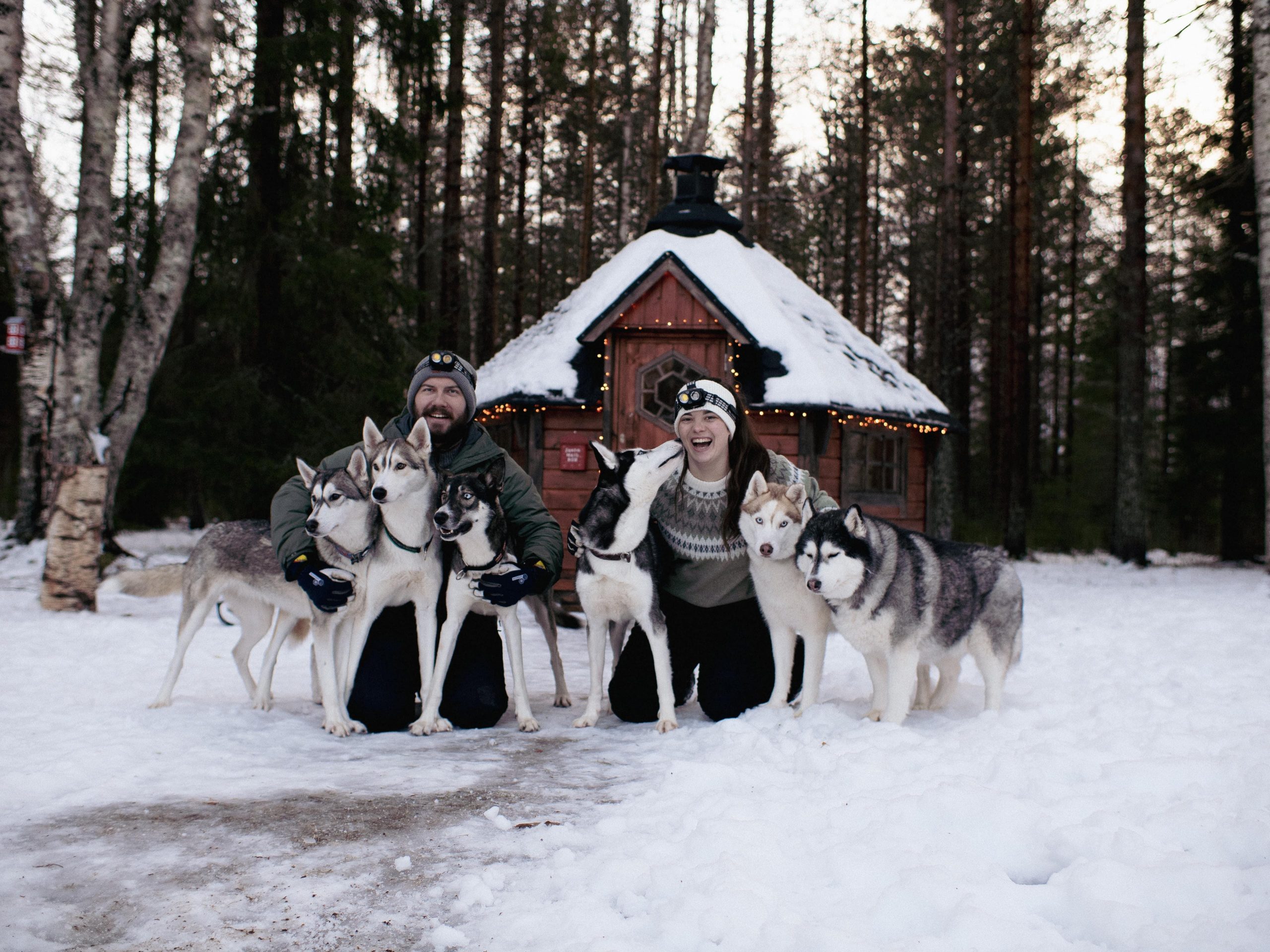 Overkalix – Lapland : Husky Adventure with Grill Kåta Lunch – Overkalix, Sweden