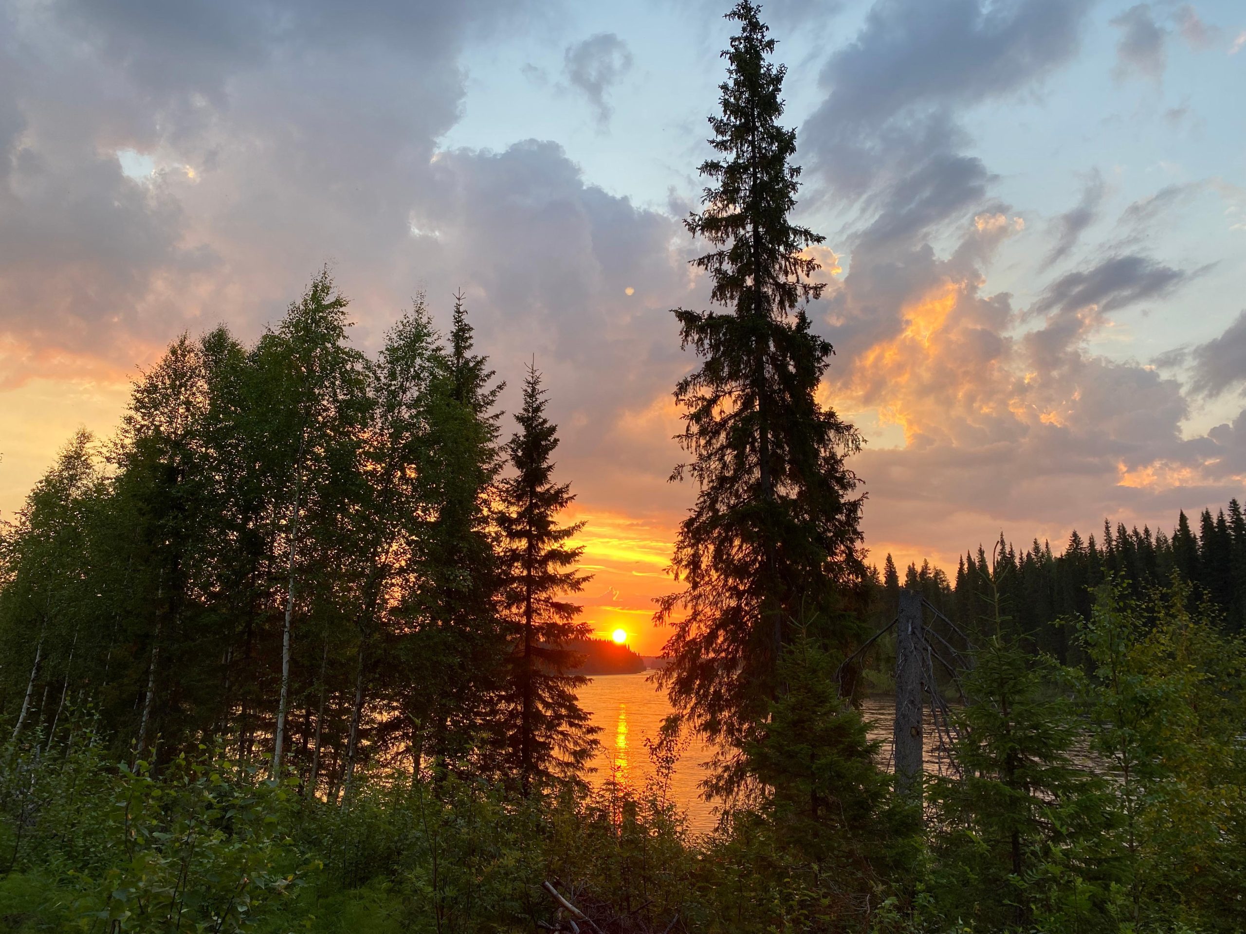 Överkalix – Lapland : Summer Hike and Midnight Sun Dinner – Overkalix, Sweden