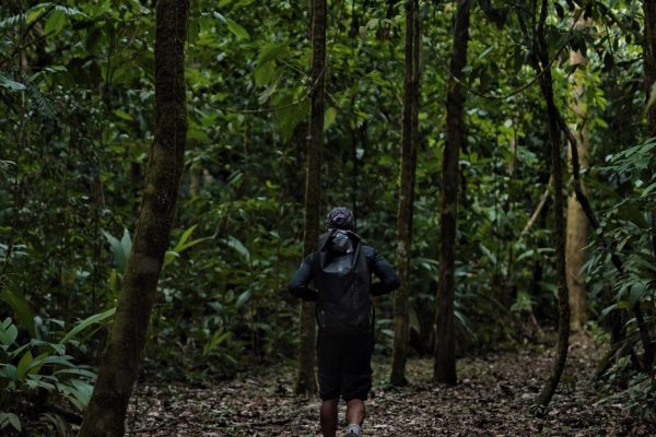 Overnight Sirena & San Pedrillo, Corcovado National Park – Puntarenas, Costa Rica