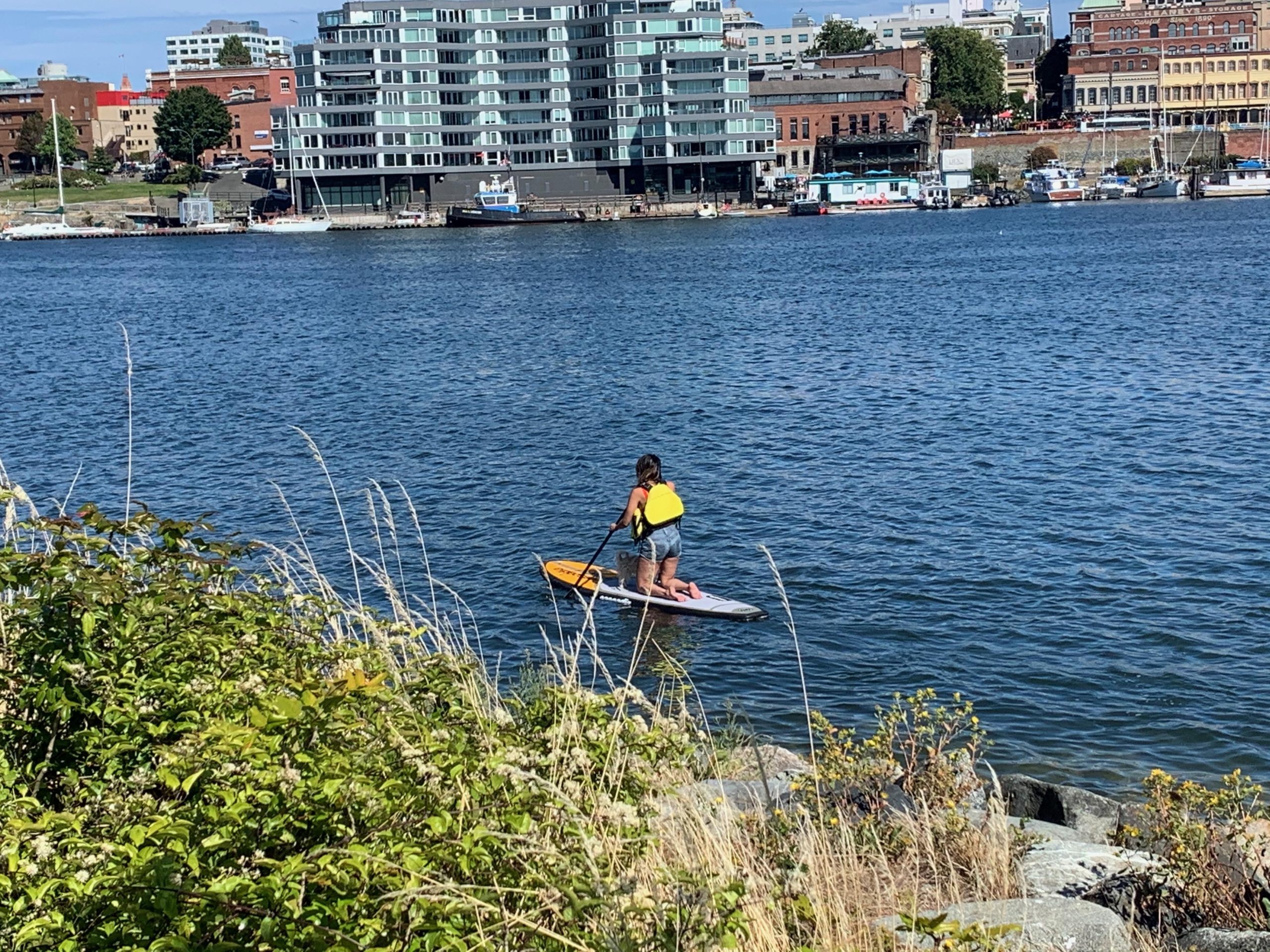 Paddle the heart of downtown Victoria – Victoria, Canada