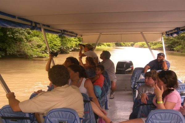 Palo Verde National Park: Wildlife Boat Tour – Palo Verde National Park, Costa Rica