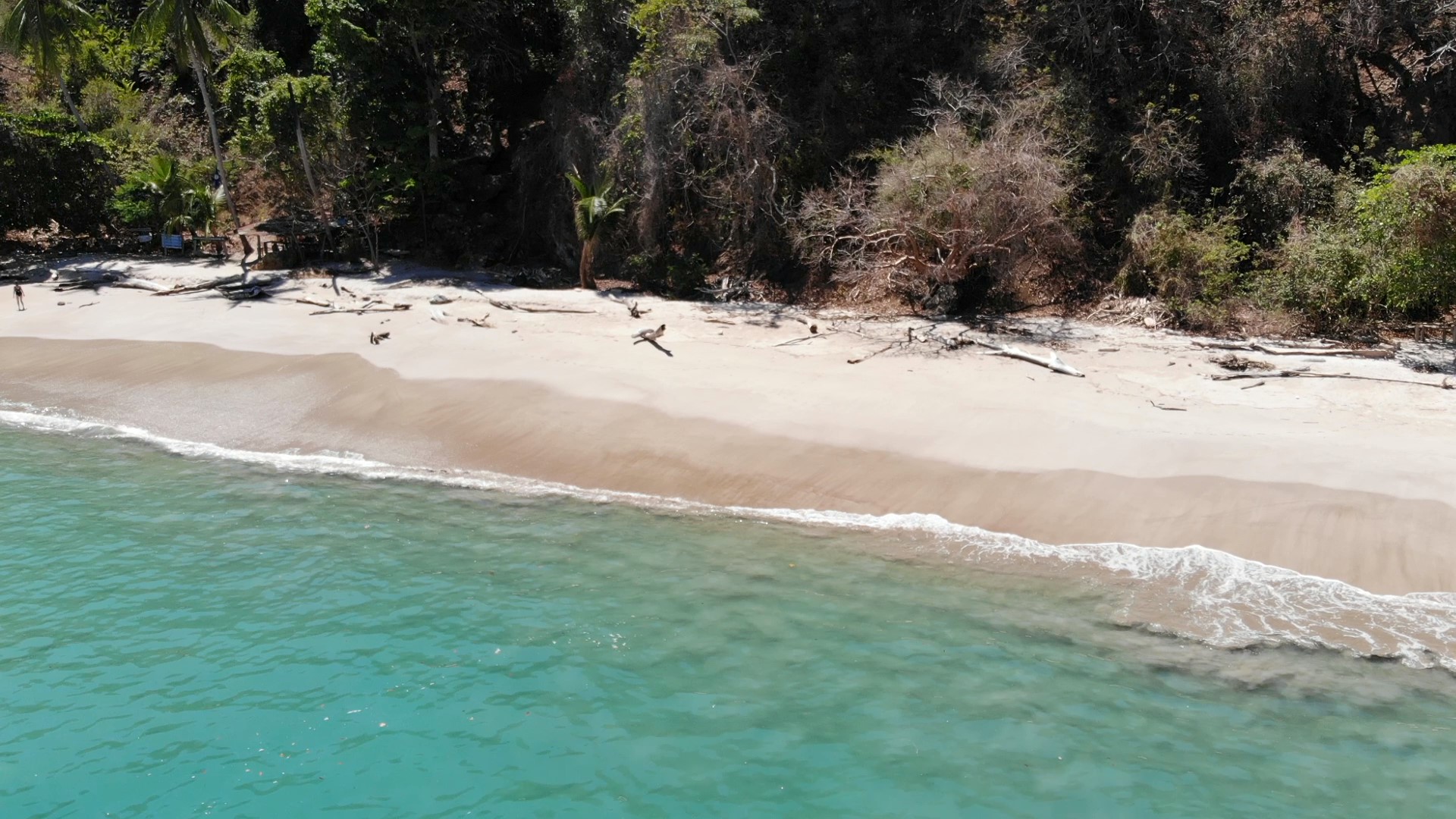 Paquera: Isla Tortuga Snorkeling tour – Paquera, Costa Rica