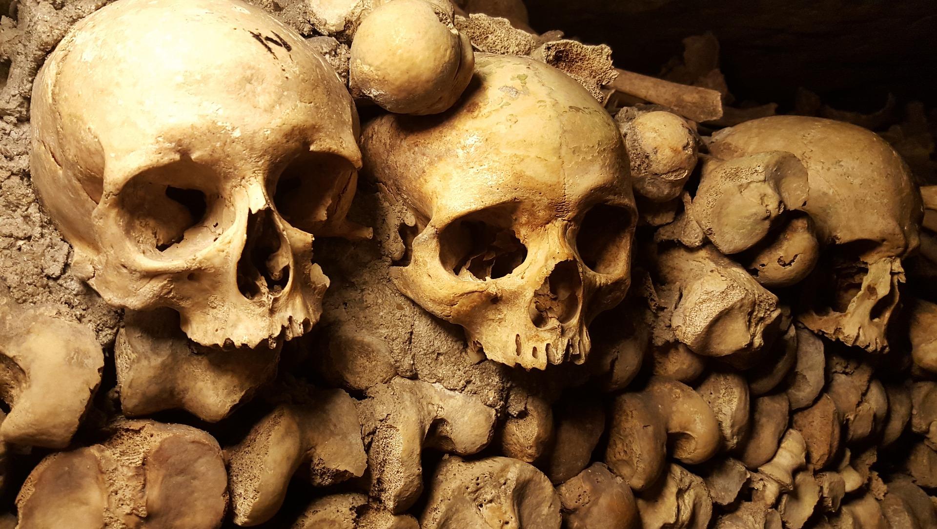 Paris: Catacombs Ticket and Seine River Cruise – Paris, France