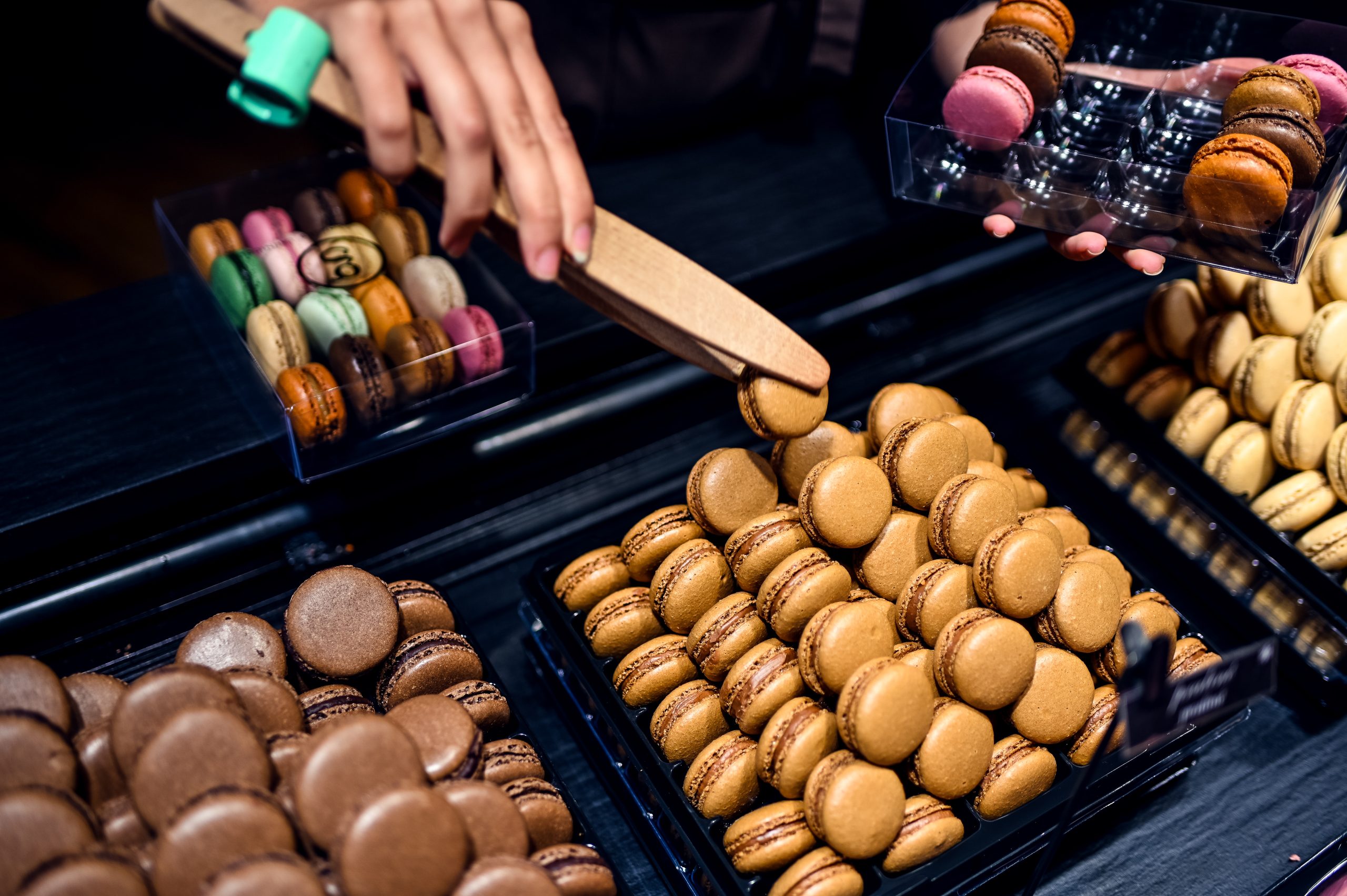 Paris: Notre Dame & Latin Quarter Food Tour with 8+ Tastings – Paris, France