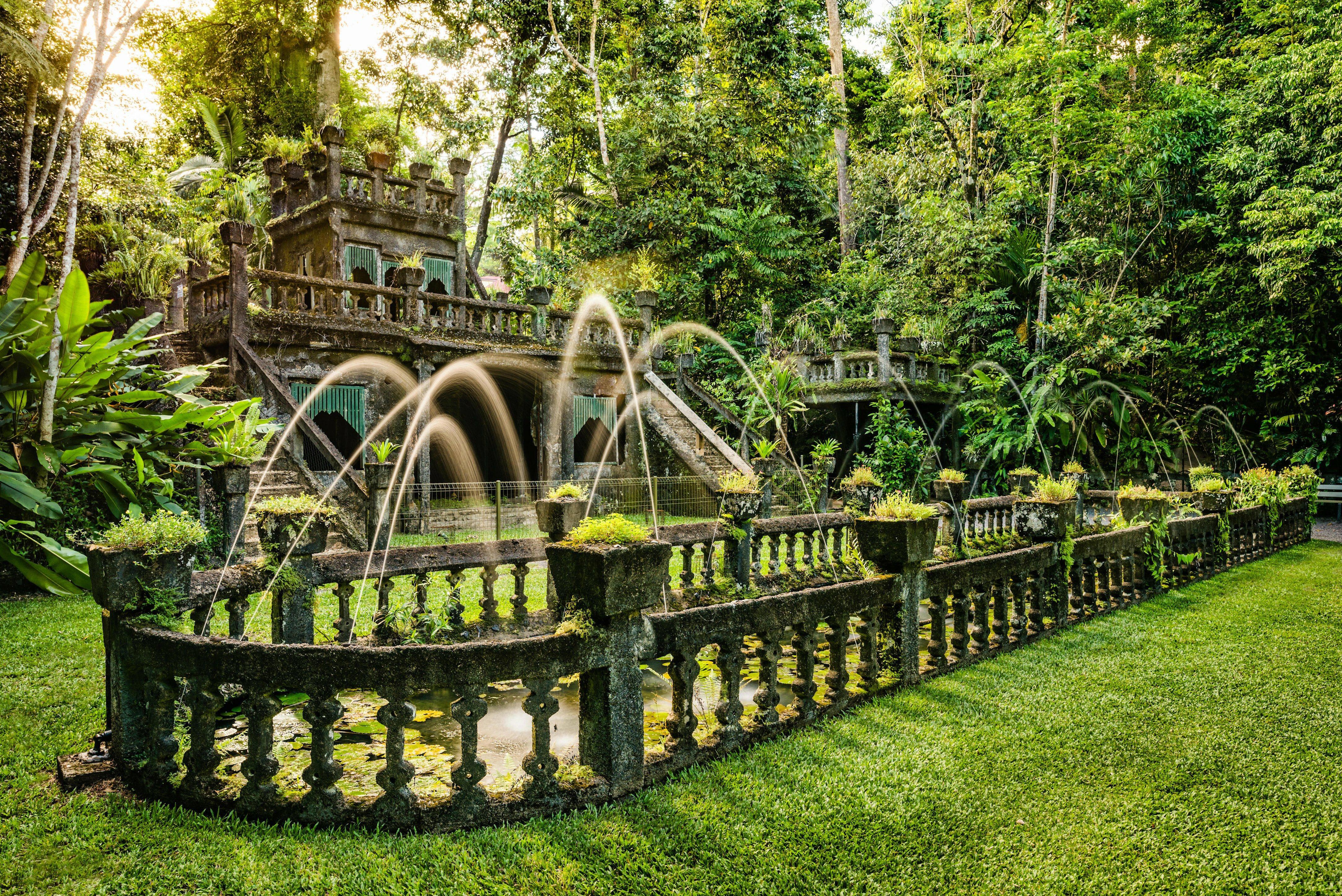 Paronella Park and Mamu Tropical Skywalk Ticket Combo – Mamu Tropical Skywalk, Australia