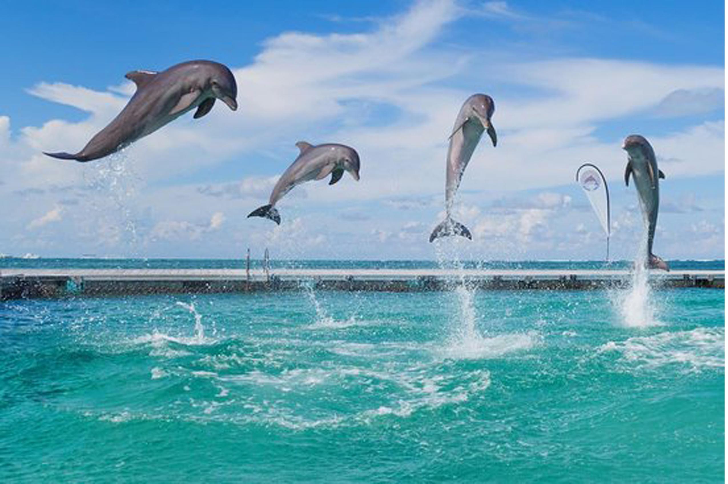 Party Boat in Punta Cana with Drinks Included – Punta Cana, Dominican Republic