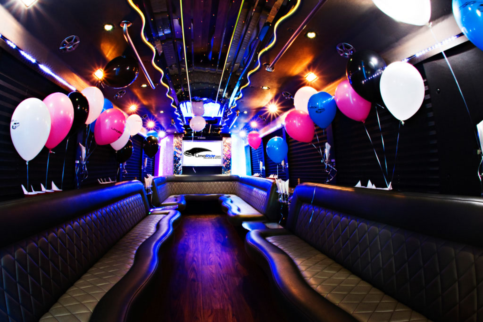 Party Bus & Dancer for 3 hours in Vilnius Private tour – Lithuania