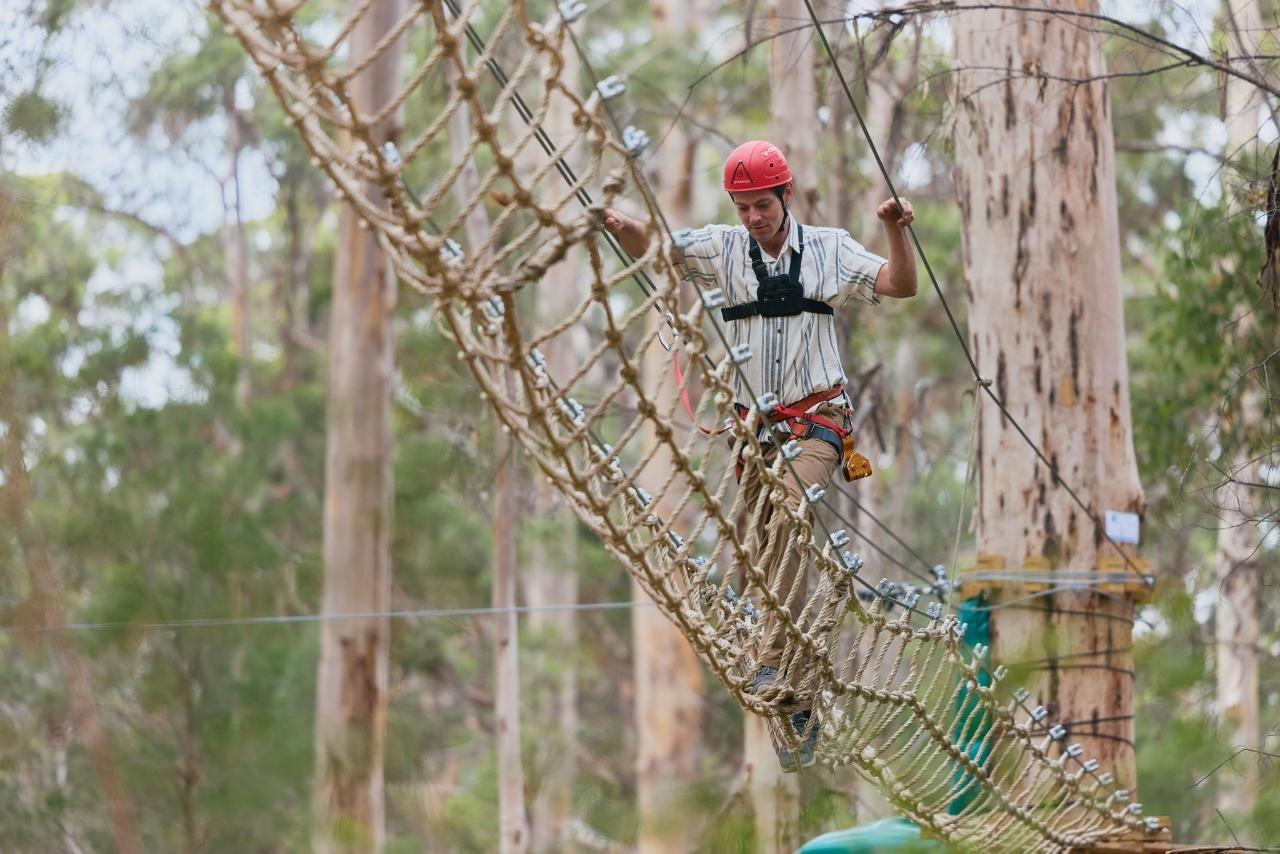 Pemberton: 2.5h Ultimate Ziplines & High Ropes Experience – Pemberton, Australia