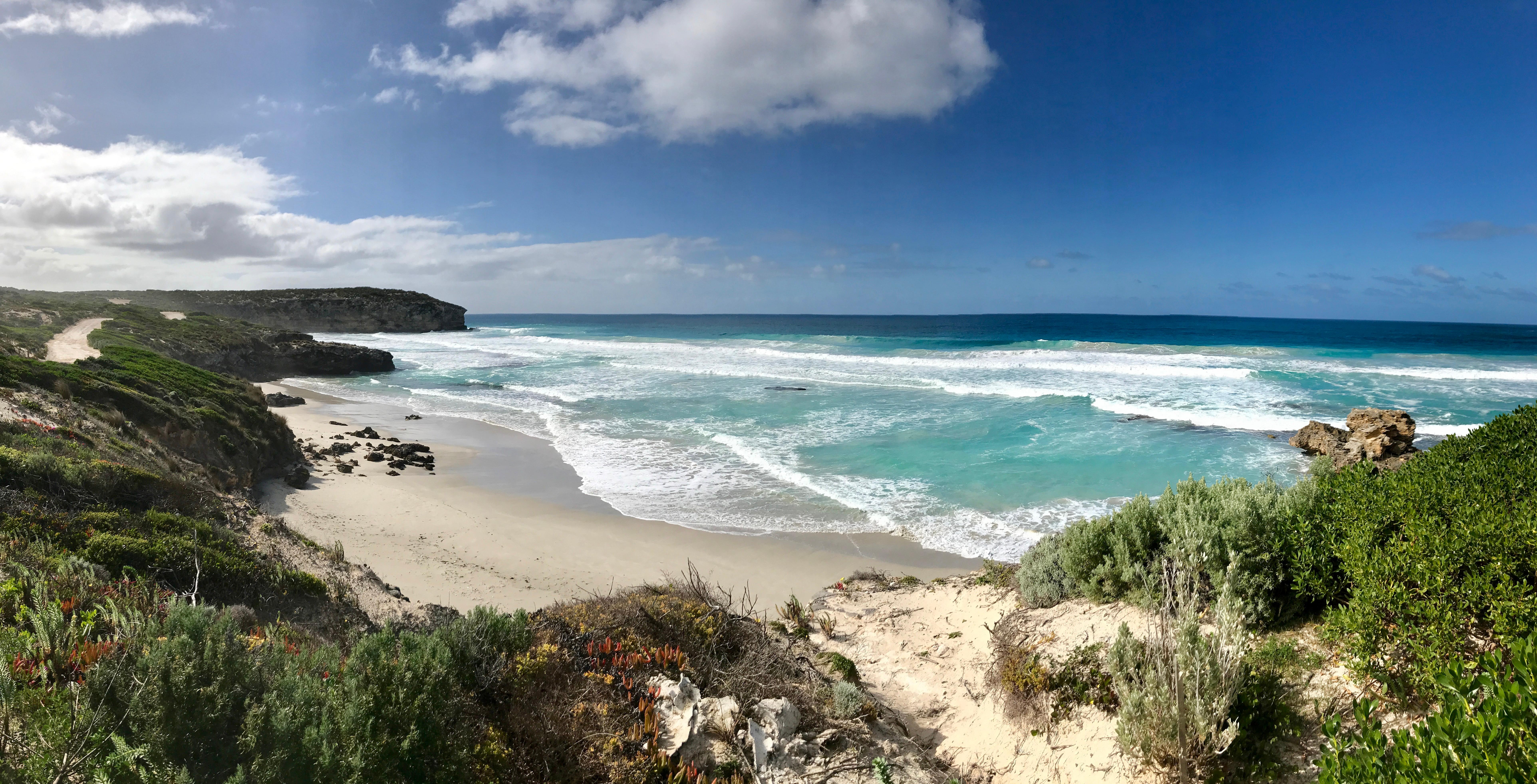 Penneshaw: Shore Excursion Kangaroo Island Scenic Tour – Flinders Chase National Park, Australia