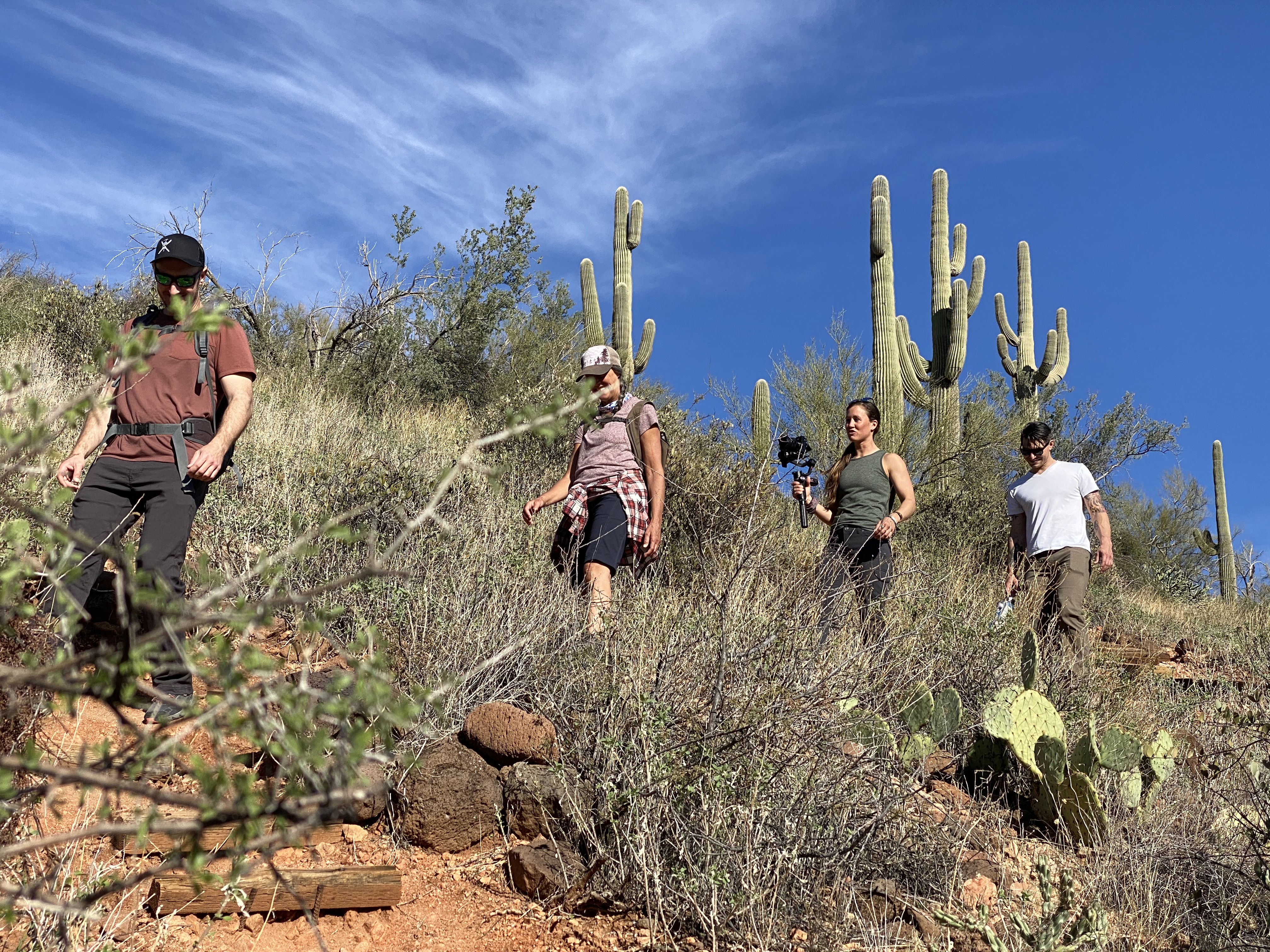 Phoenix: Amazing Two-Hour Guided Hike in the Sonoran Desert – Phoenix, Arizona