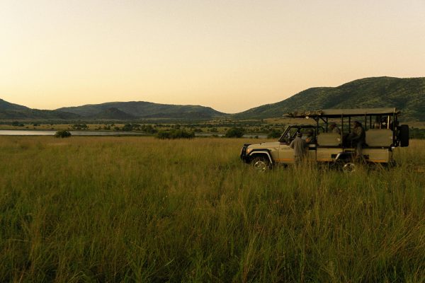 Pilanesberg: Full-Day Safari Adventure from Johannesburg – Johannesburg, South Africa