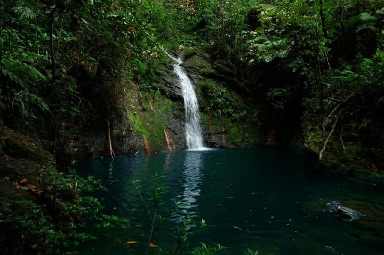 Placencia: Cockscomb Basin Hiking & Rivertubing – Cockscomb Basin Wildlife Sanctuary, Belize