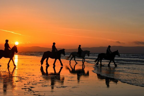 Playa Conchal: Horseback Riding -Sunset Private Tour For All – Santa Cruz, Costa Rica