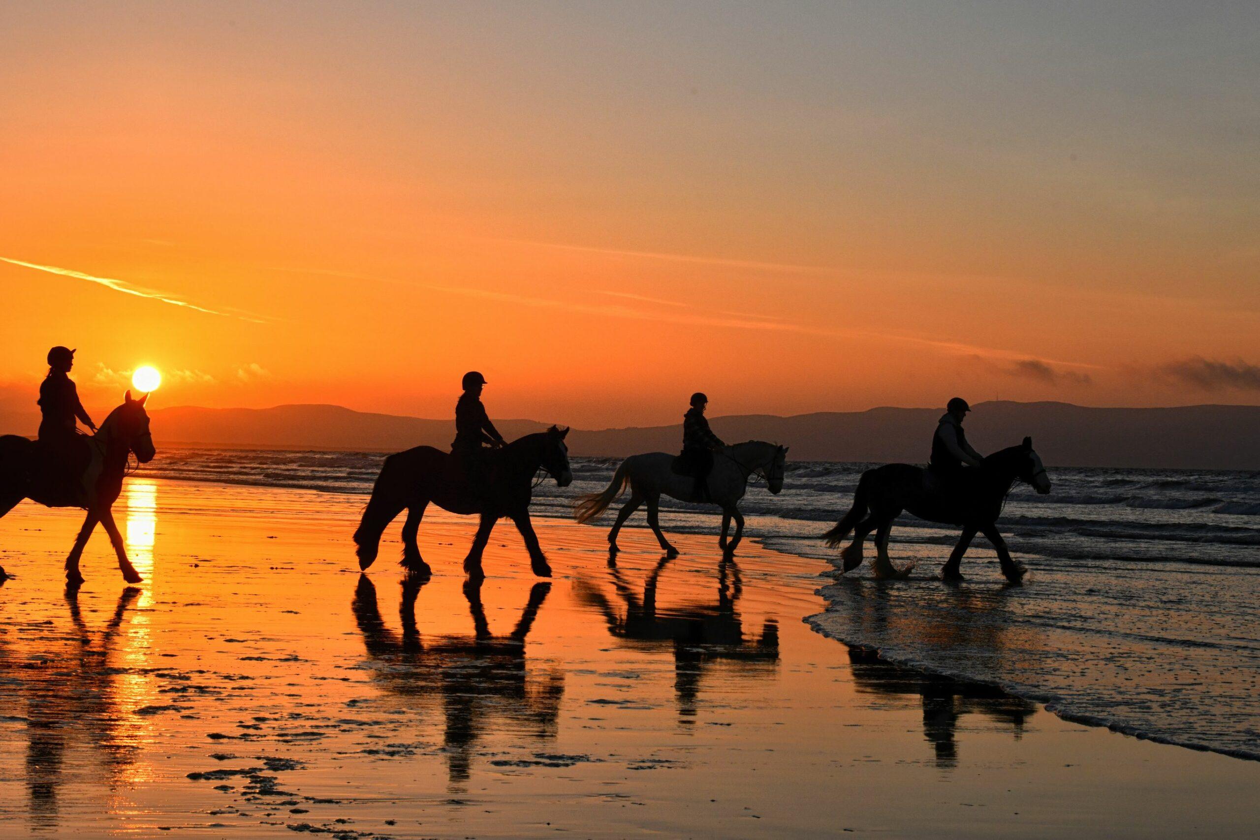Playa Conchal: Horseback Riding -Sunset Private Tour For All – Santa Cruz, Costa Rica