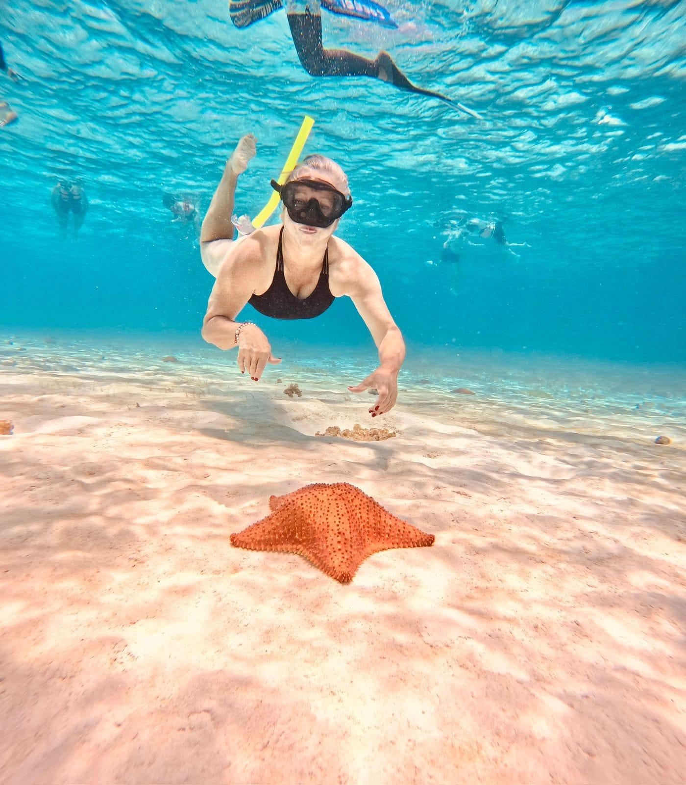 Playa del Carmen: On Board to Cozumel Tour with Lunch – Playa del Carmen, Mexico