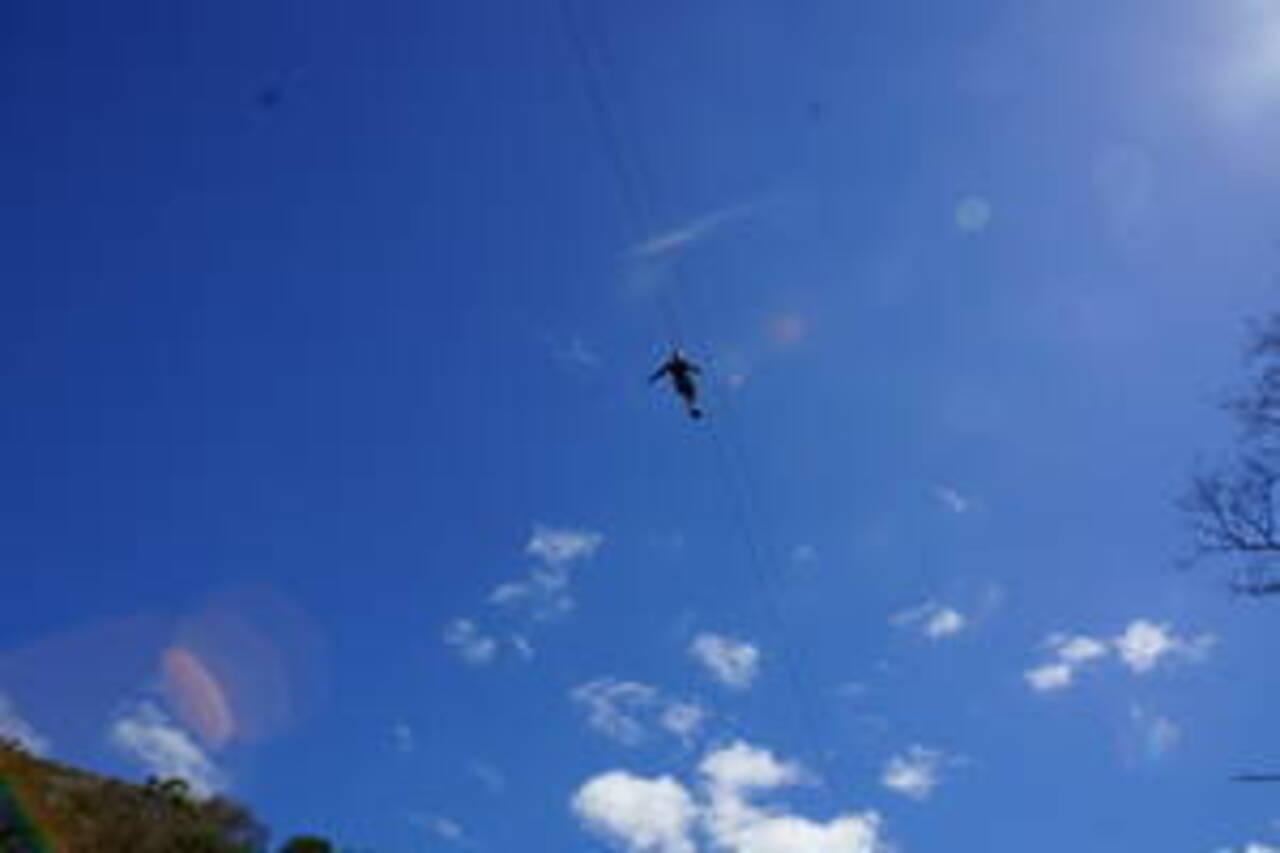 Plettenberg: 2-Hour Zipline Tour – Plettenberg Bay, South Africa