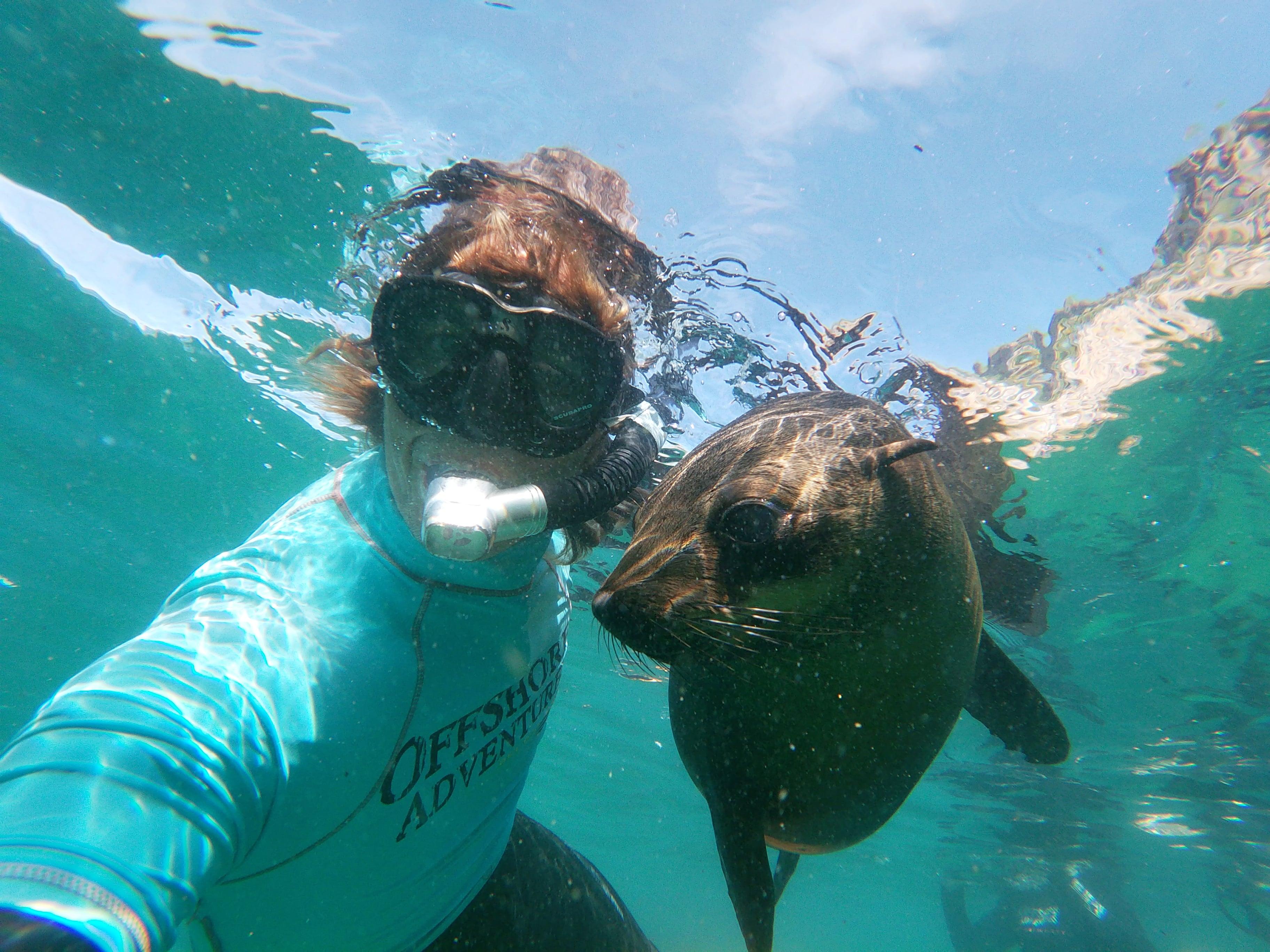 Plettenberg Bay: Swim with Seals – Robberg Nature Reserve, South Africa