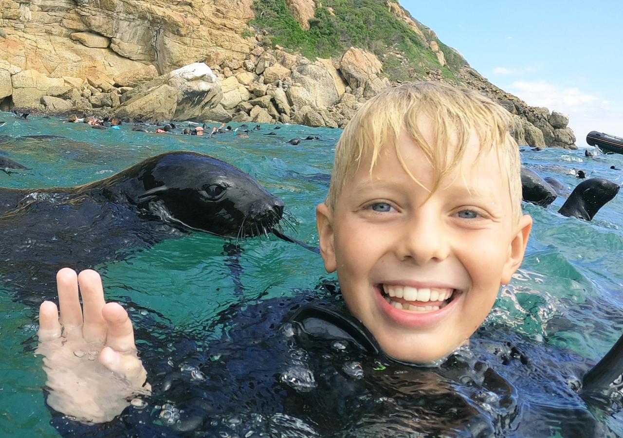 Plettenberg Bay: Swim with the Seals – Plettenberg Bay, South Africa