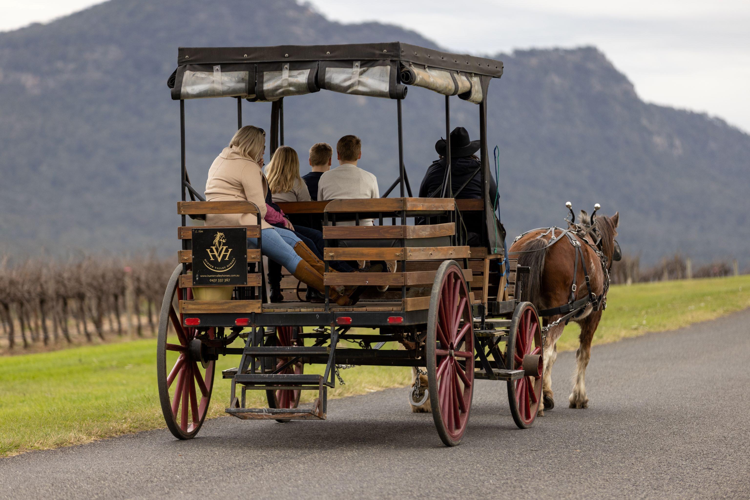 Pokolbin: Harvest the Hunter Horse Drawn Carriage Tour 3hrs – Pokolbin, Australia