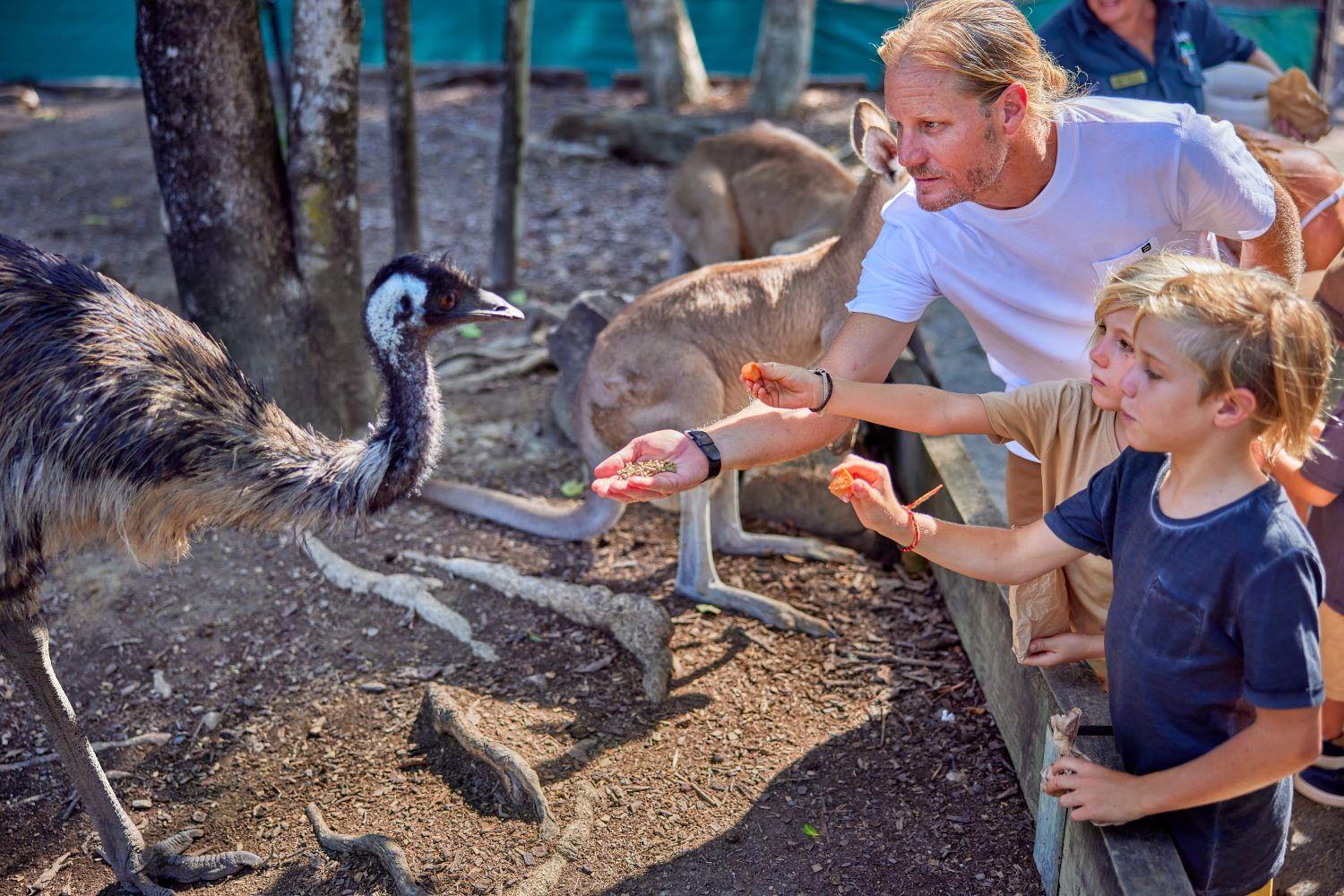 Port Douglas: Breakfast with the Birds – Port Douglas, Australia