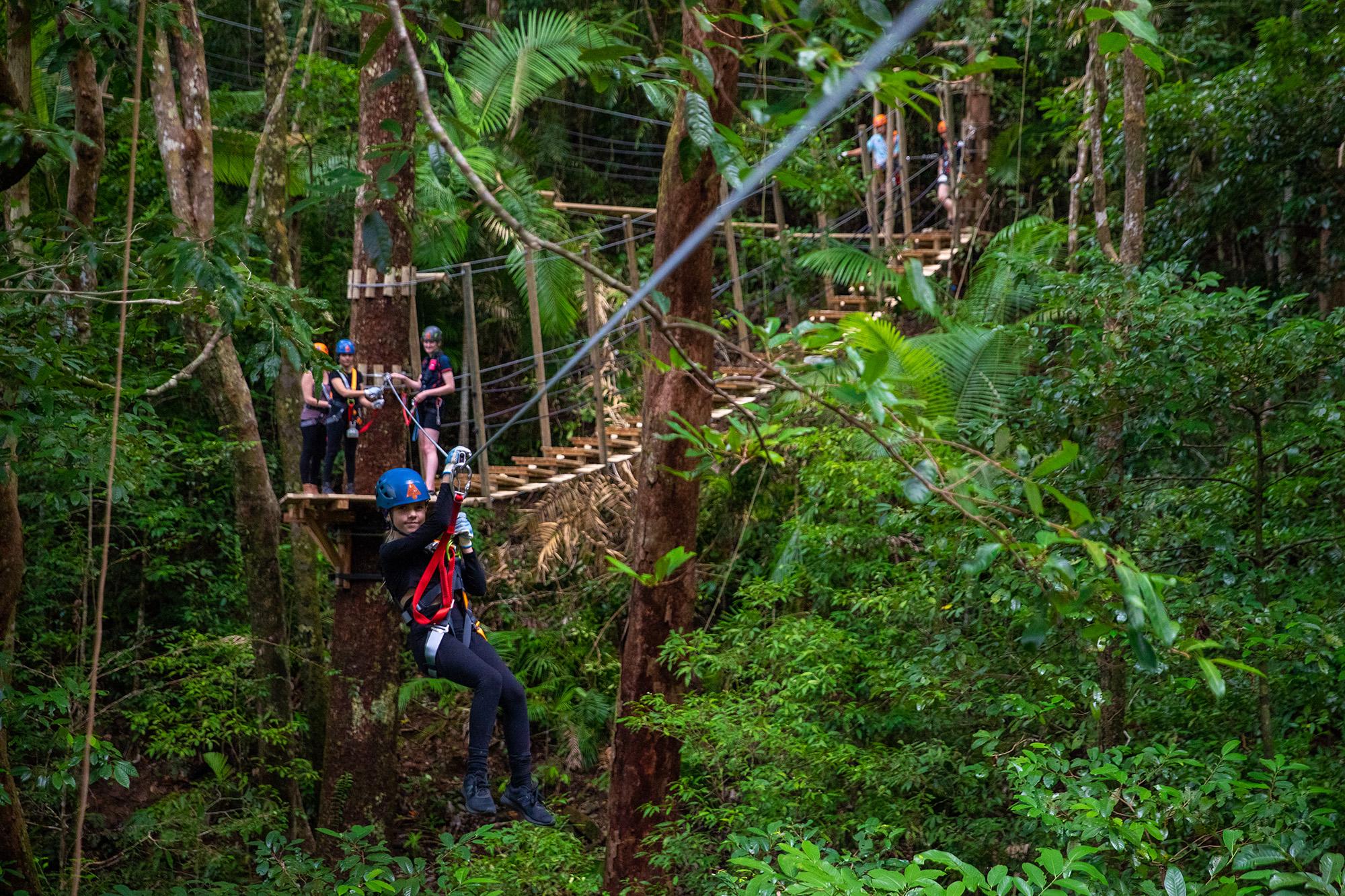 Port Douglas: Daintree Rainforest Canopy Ziplining Tour – Daintree Rainforest, Australia