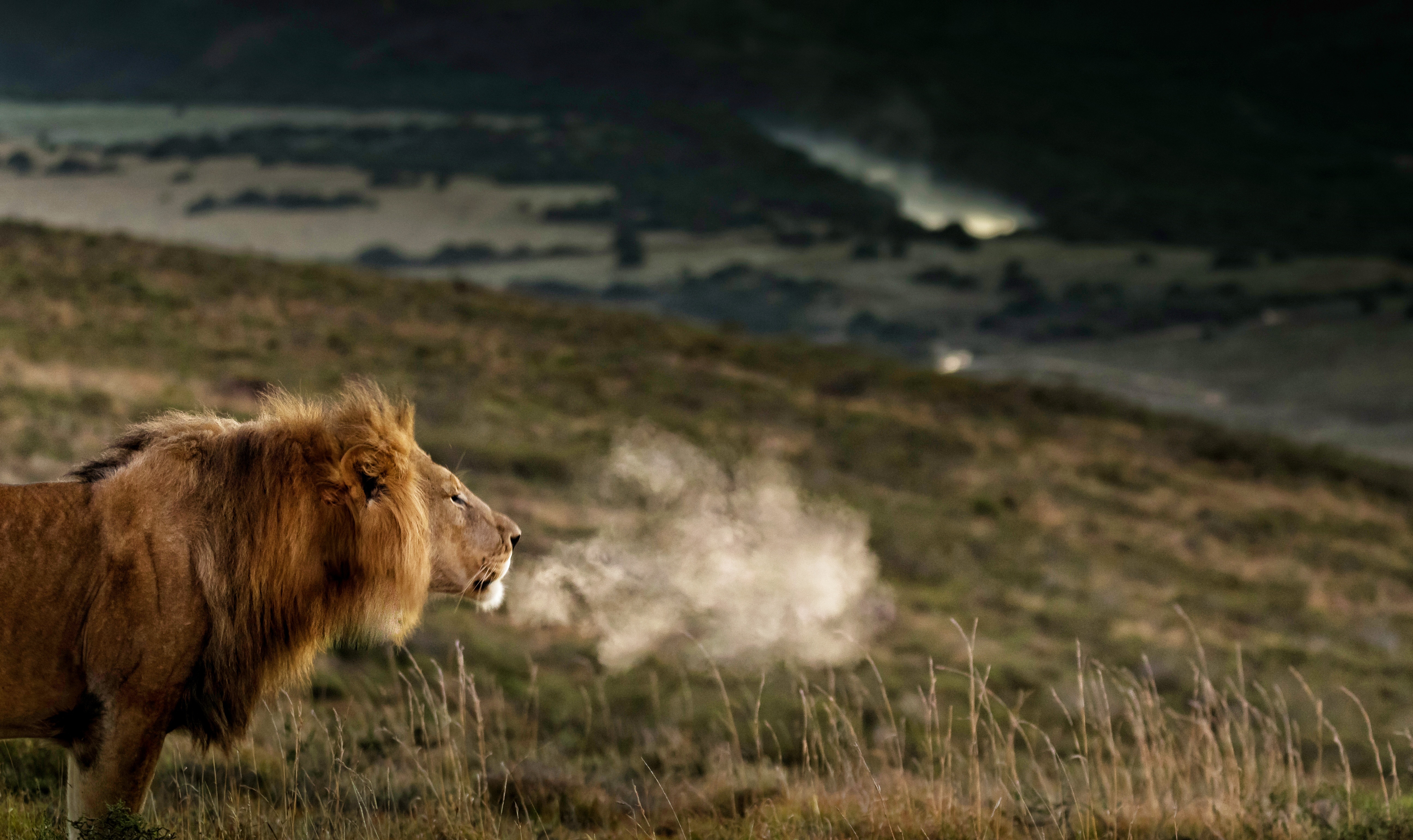 Port Elizabeth: 2-Day Addo Elephant Park Safari – Addo Elephant National Park, South Africa