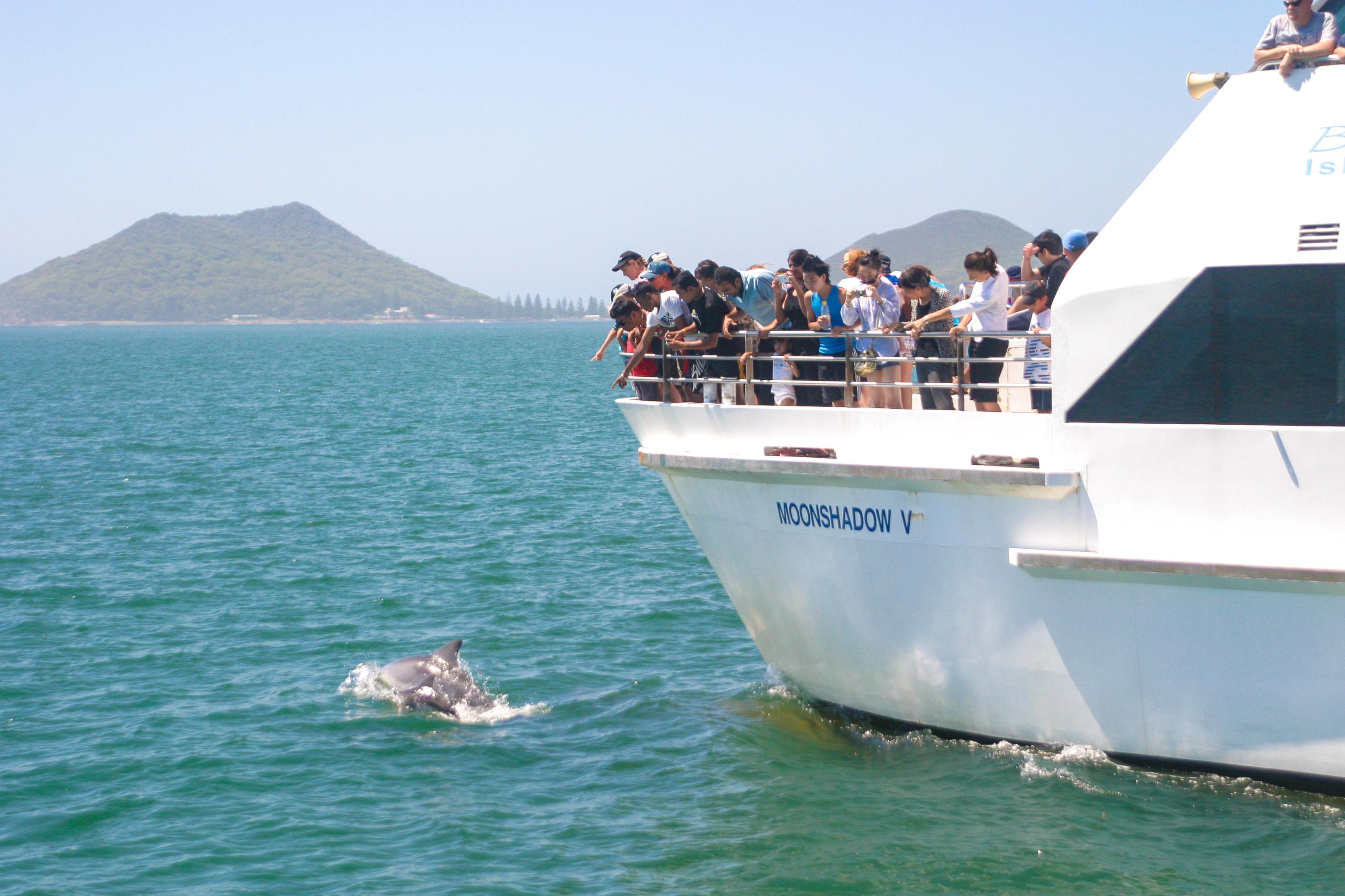 Port Stephens: Dolphin Cruise, Lunch, Koalas & Sandboarding – Bobs Farm, Australia