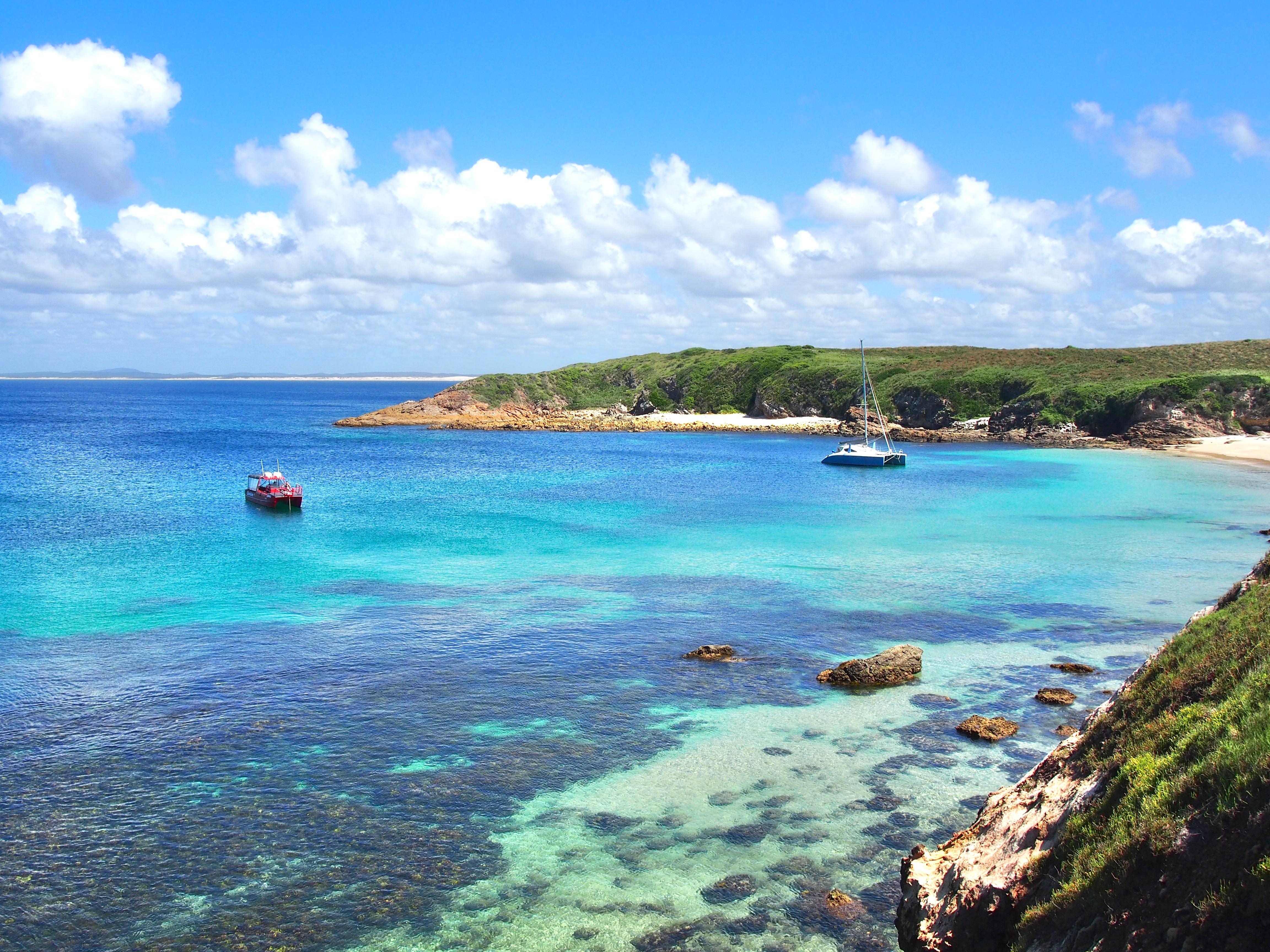 Port Stephens: Port Stephens Island Snorkel Adventure Cruise – Broughton Island, Australia