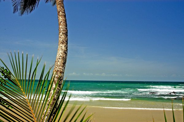 Port of Spain: Coastal Tour of Trinidad – Trinidad and Tobago