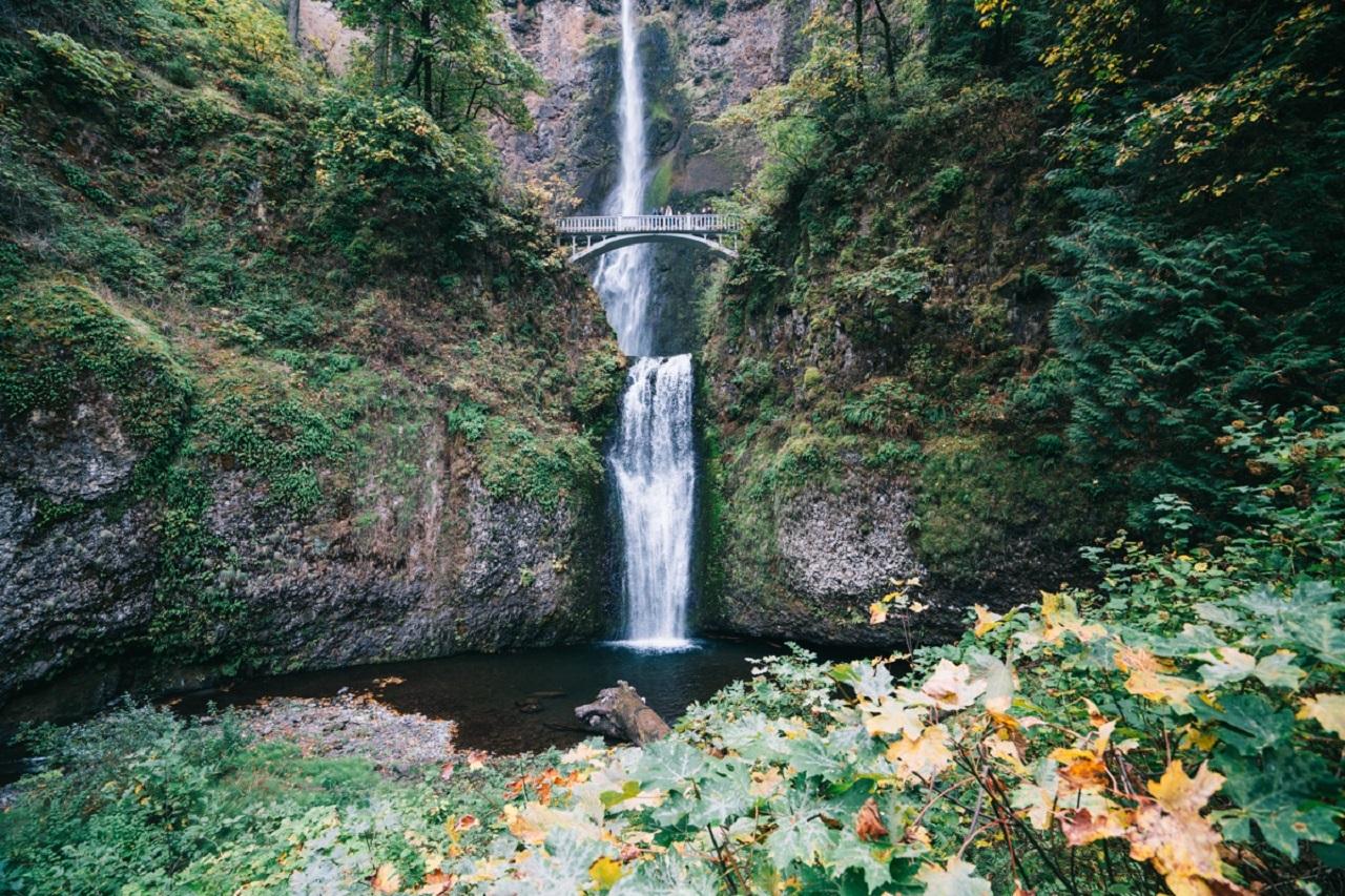 Portland: Columbia River Gorge Waterfalls Afternoon Tour – Multnomah Falls, Oregon