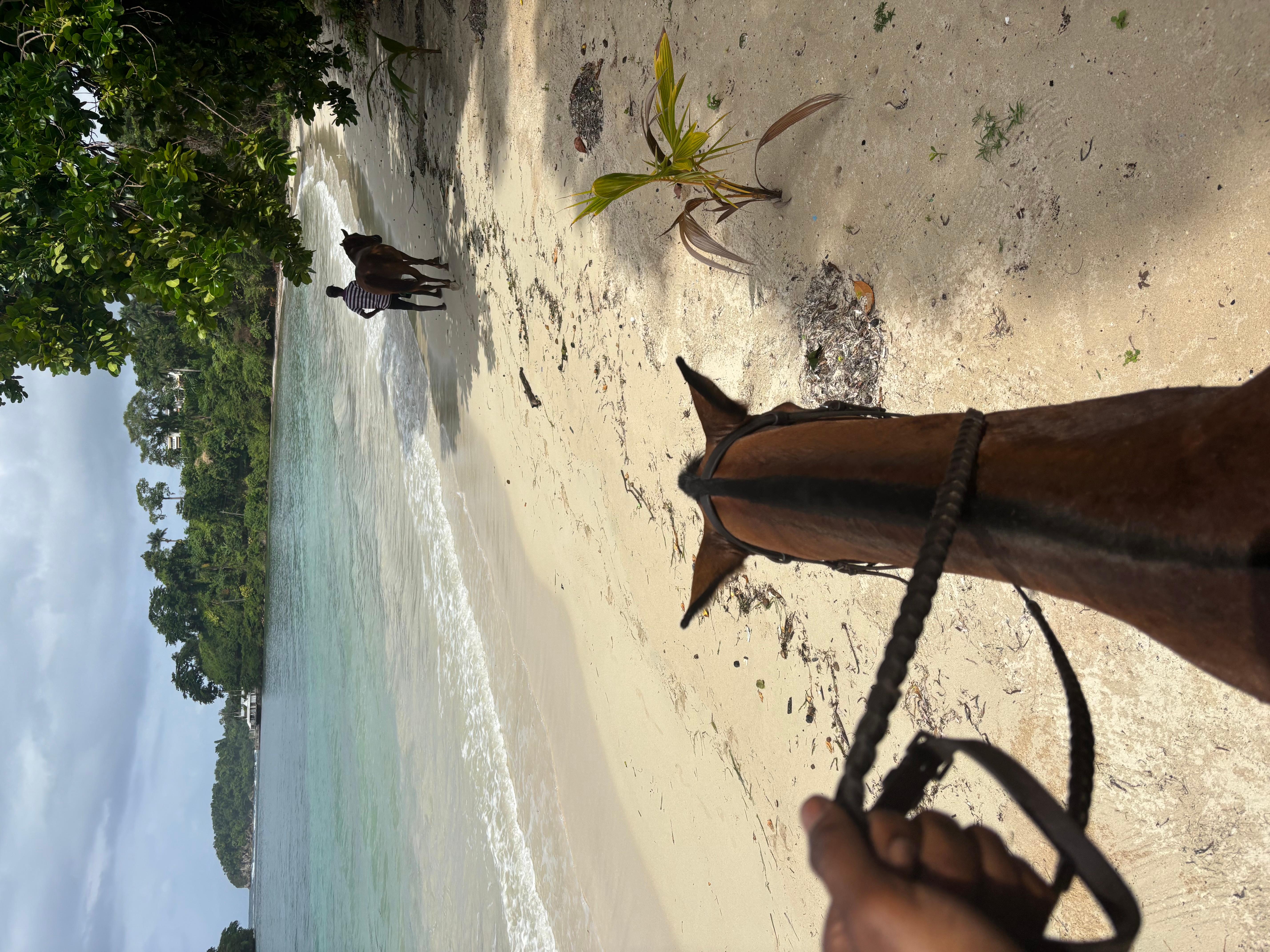 Portland, Jamaica: Horseback Riding Tour – Blue Lagoon, Jamaica