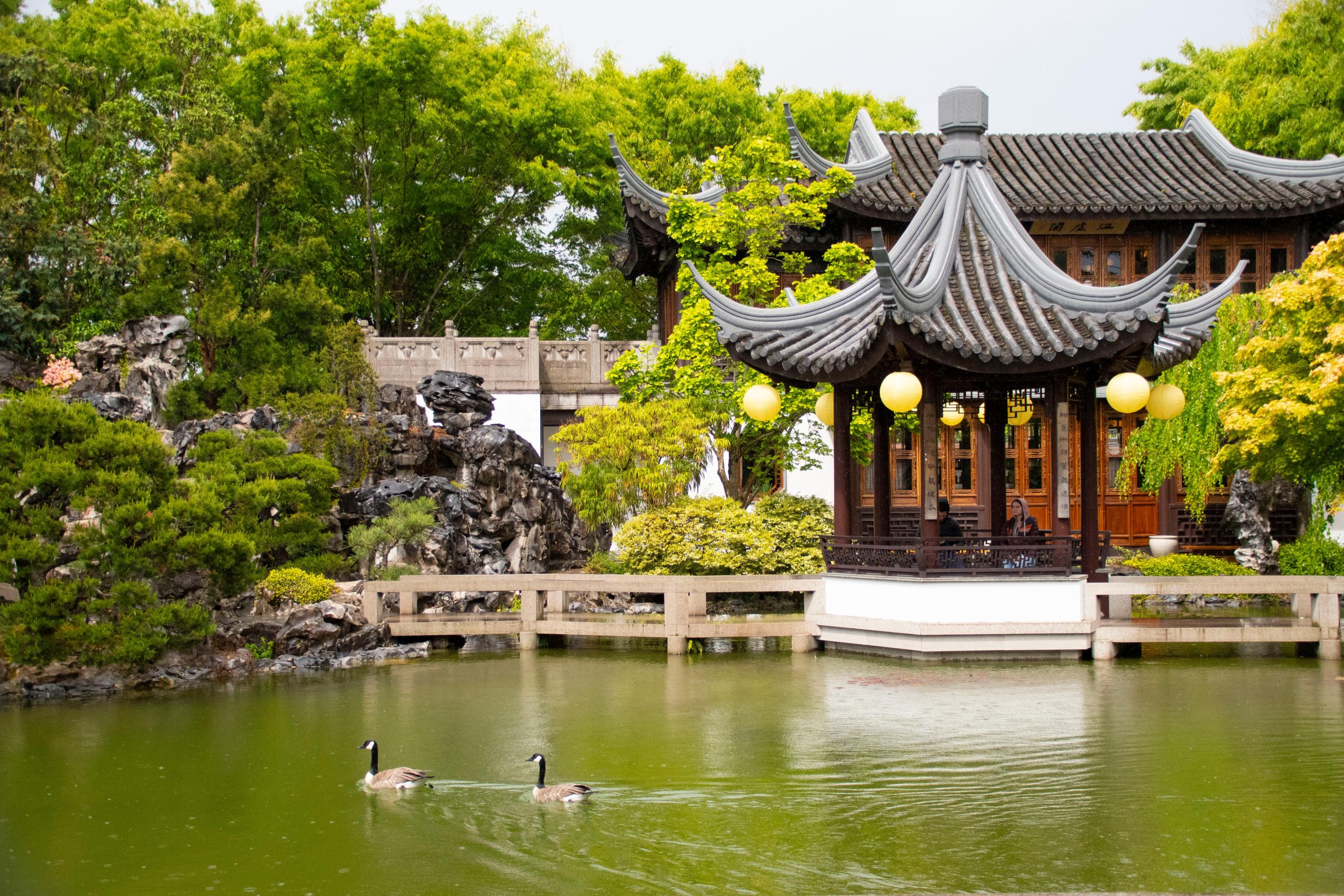 Portland: Lan Su Chinese Garden General Admission Ticket – Portland, Oregon