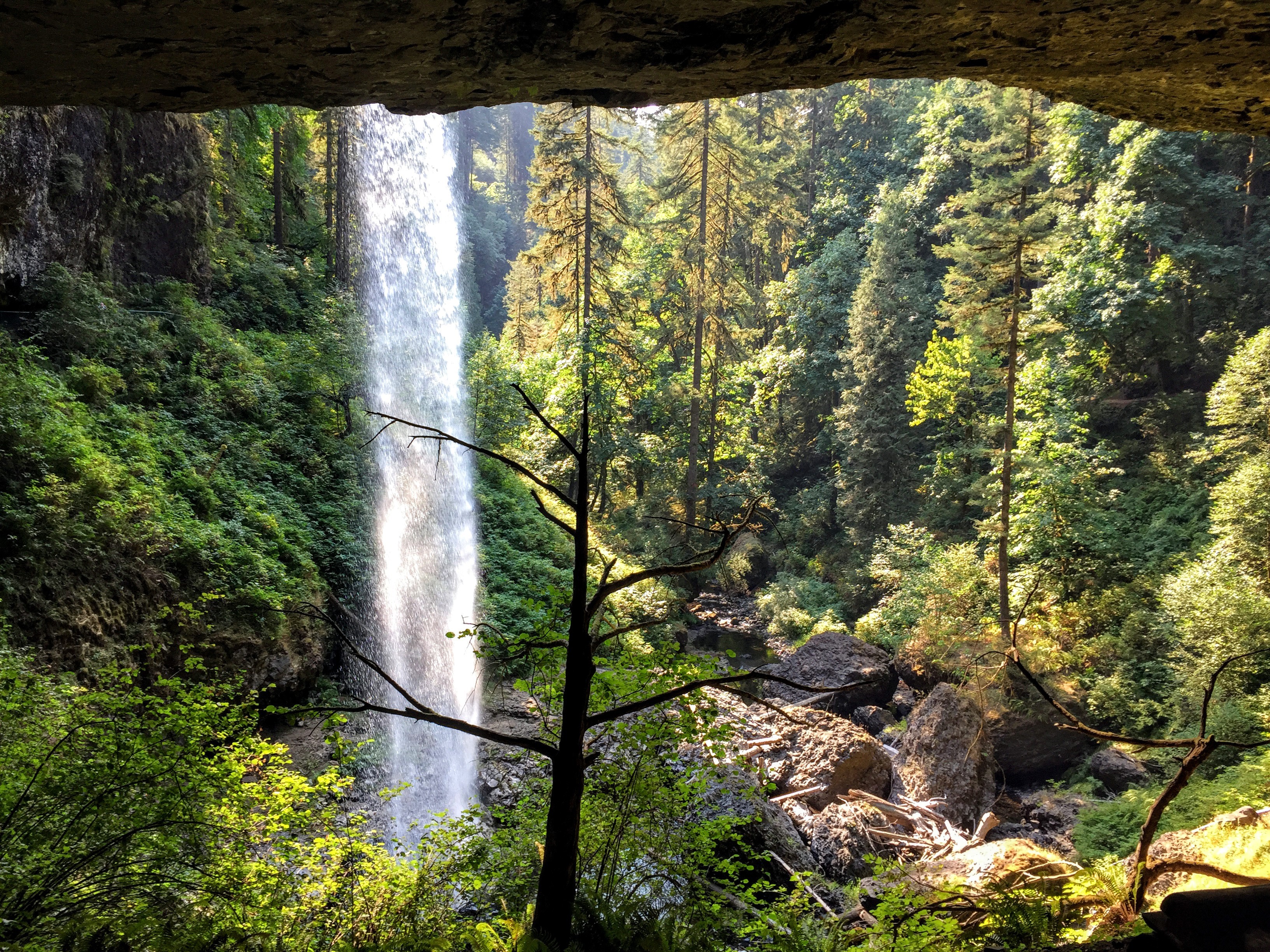 Portland: Silver Falls Hike – Silver Falls State Park, Oregon