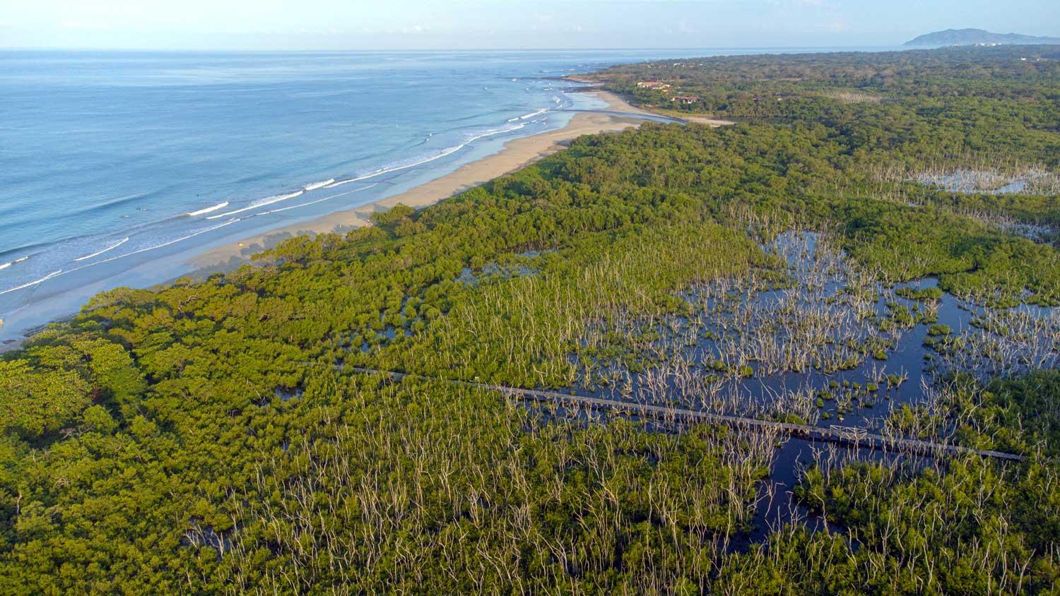 Private Avellanas Wildlife Walk – Santa Cruz, Costa Rica