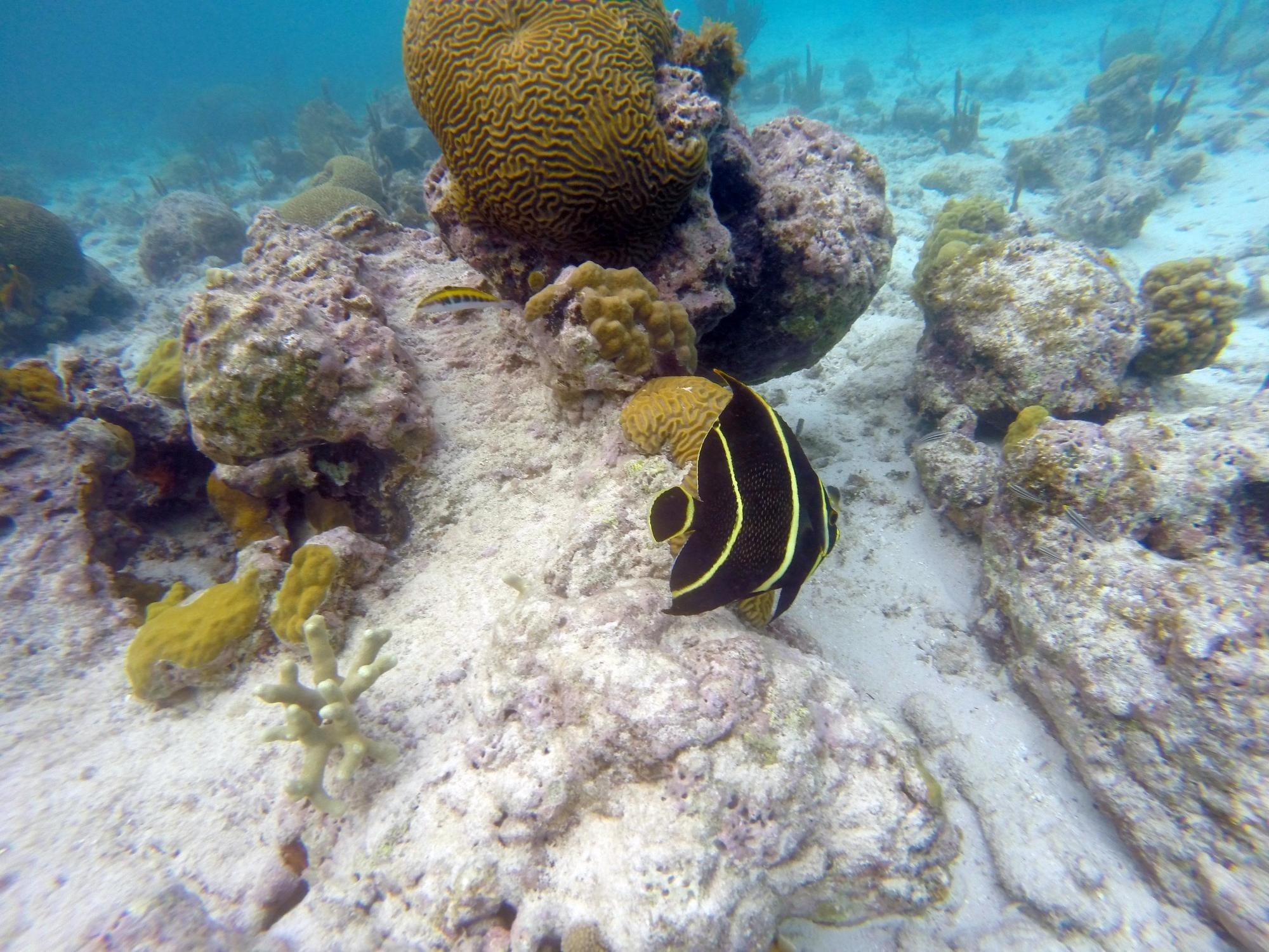 Private Catalina Island Snorkel & Beach Day from Punta Cana – Punta Cana, Dominican Republic