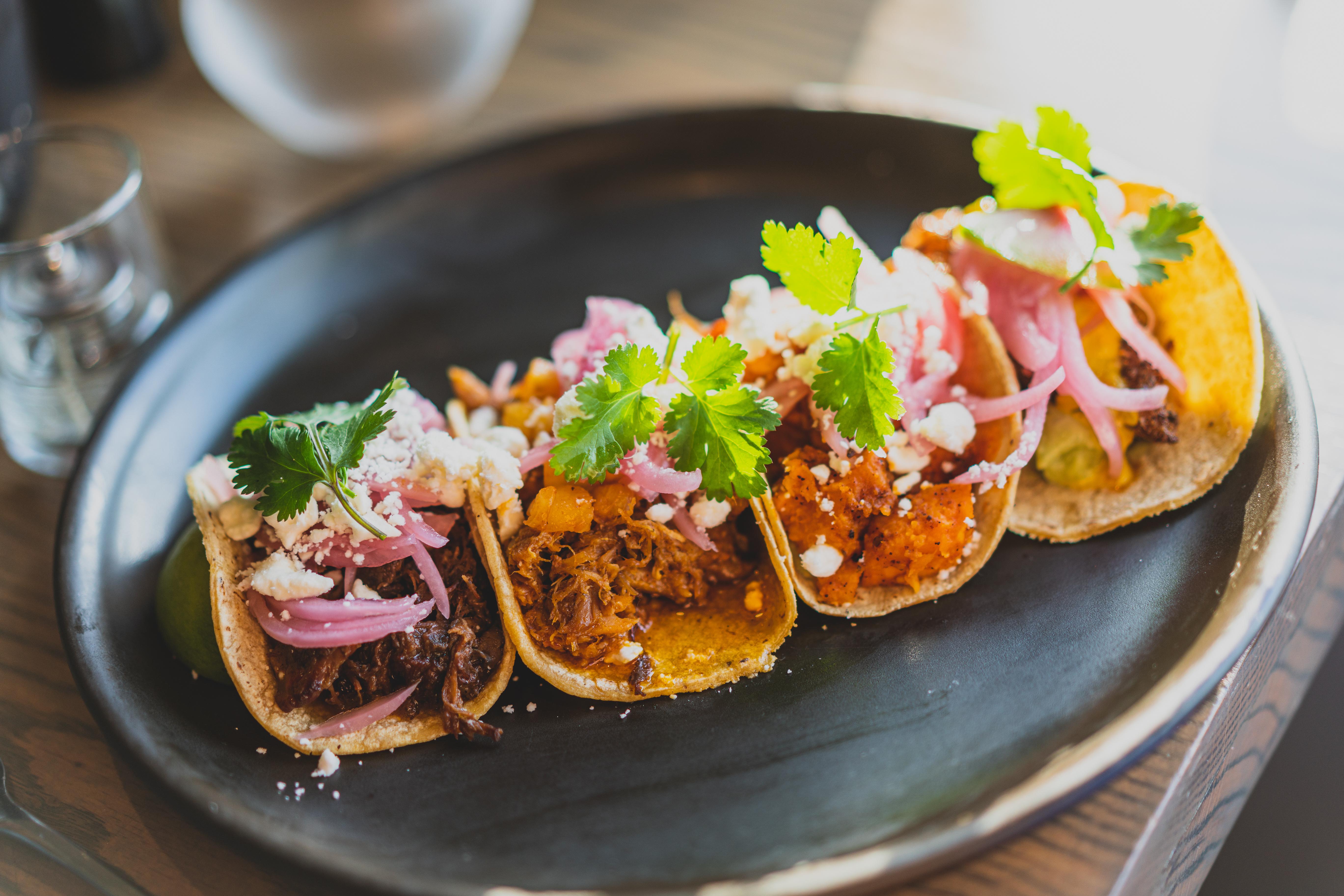 Private Mexico City Street Food Tour – Best Rated – Mexico City, Mexico