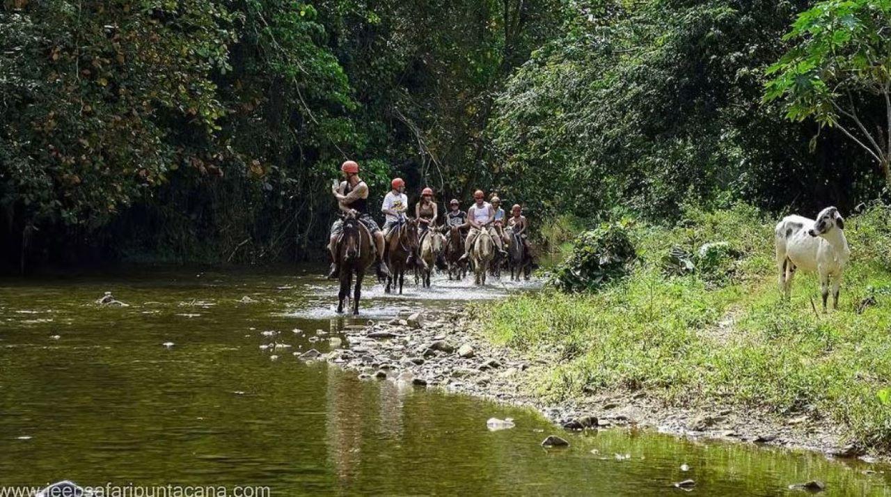 Private Punta Cana Full-Day Safari & Nature Adventure – Punta Cana, Dominican Republic