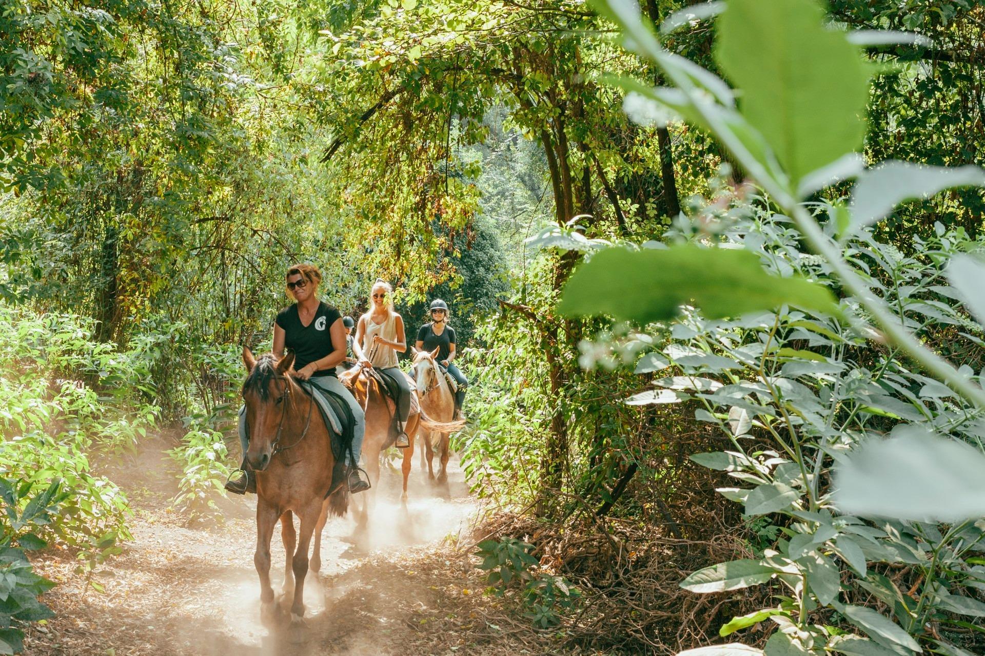 Private: Punta Cana: Horseback Riding Tour with Sunset – Punta Cana, Dominican Republic
