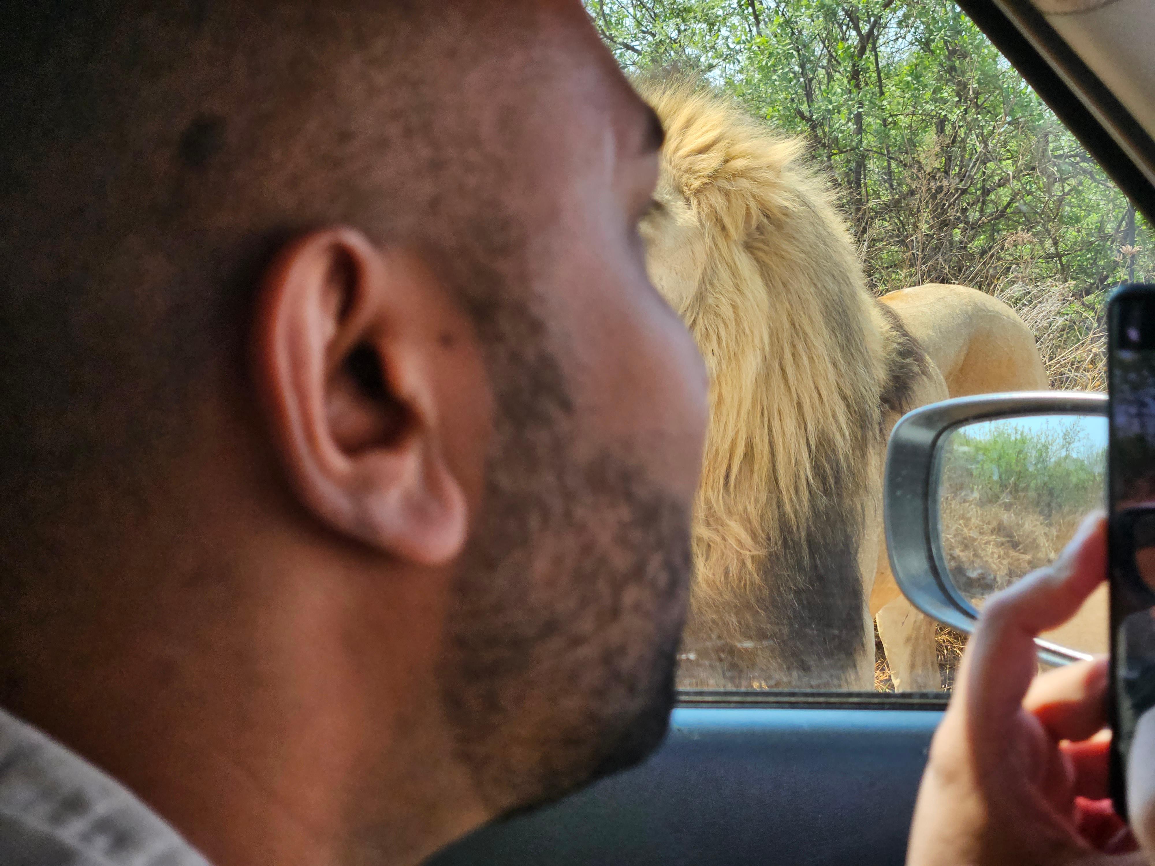 Private Safari Tour: Pilansberg National Park Big 5 – Sun City, South Africa