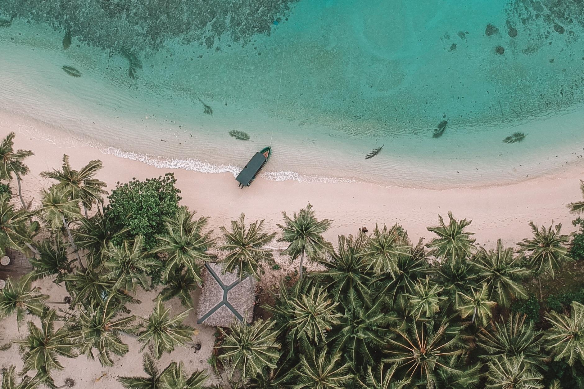 Private: Samaná Whale & Cayo Levantado Luxury Day Trip – Samaná Bay, Dominican Republic