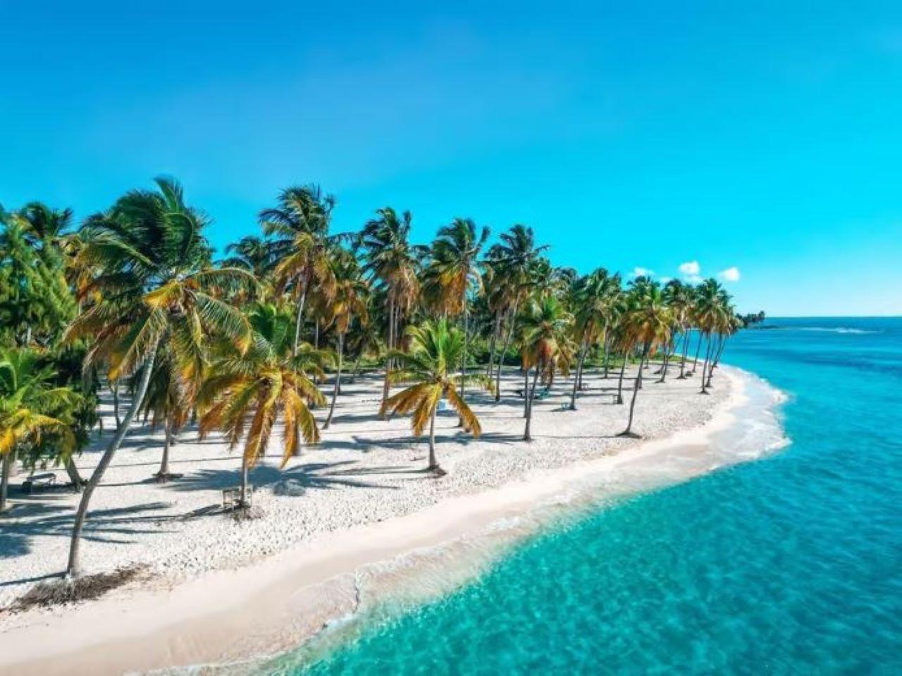 Private Saona Island Including Natural Pool Experience – Bayahibe, Dominican Republic