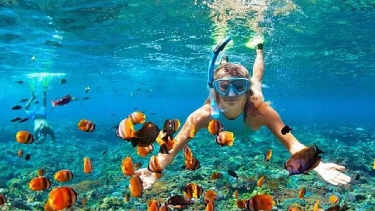 Private: Sosua Bay Snorkeling Tour with Hotel Pickup – Puerto Plata, Dominican Republic