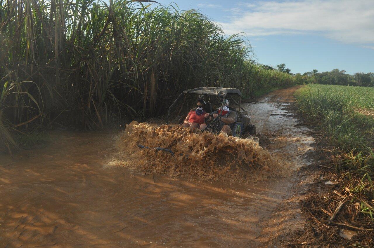 Private: Sunset Horseback Experience — Macao Forest & Beach – Punta Cana, Dominican Republic