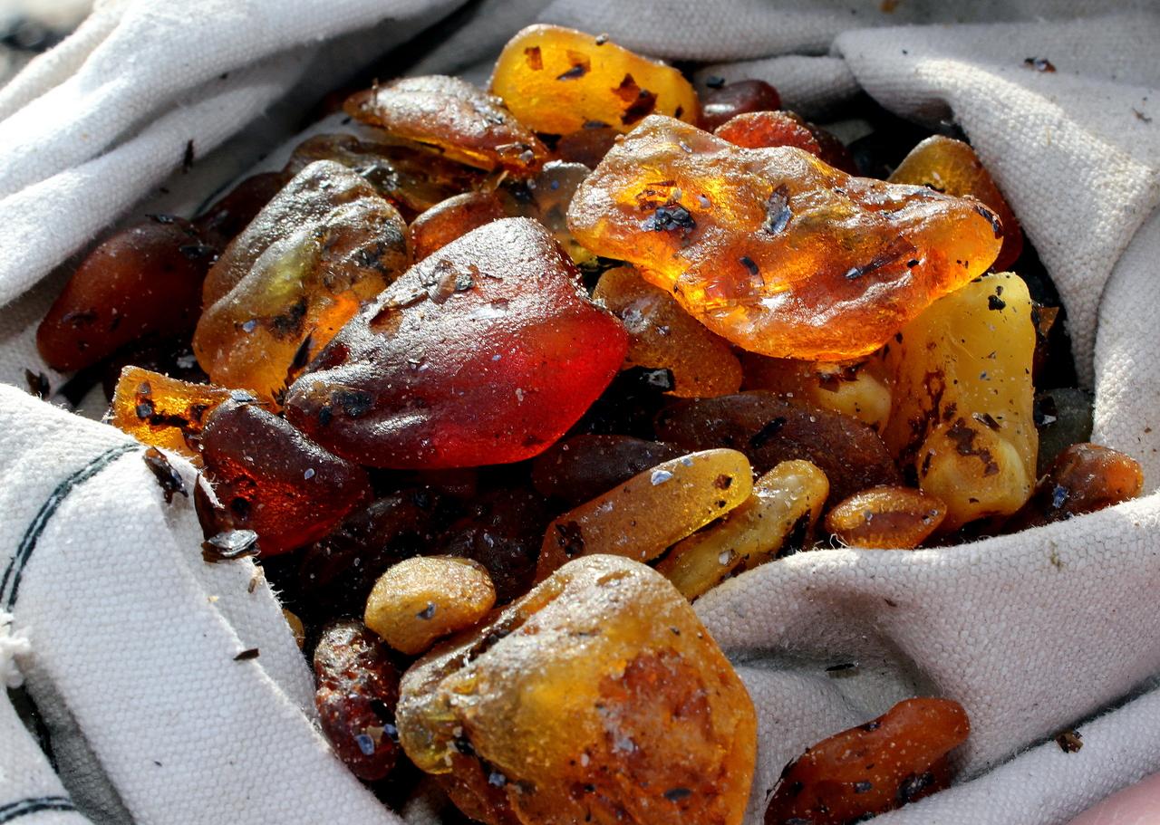 Private Tour: Amber Catching in Curonian Spit from Klaipeda – Lithuania