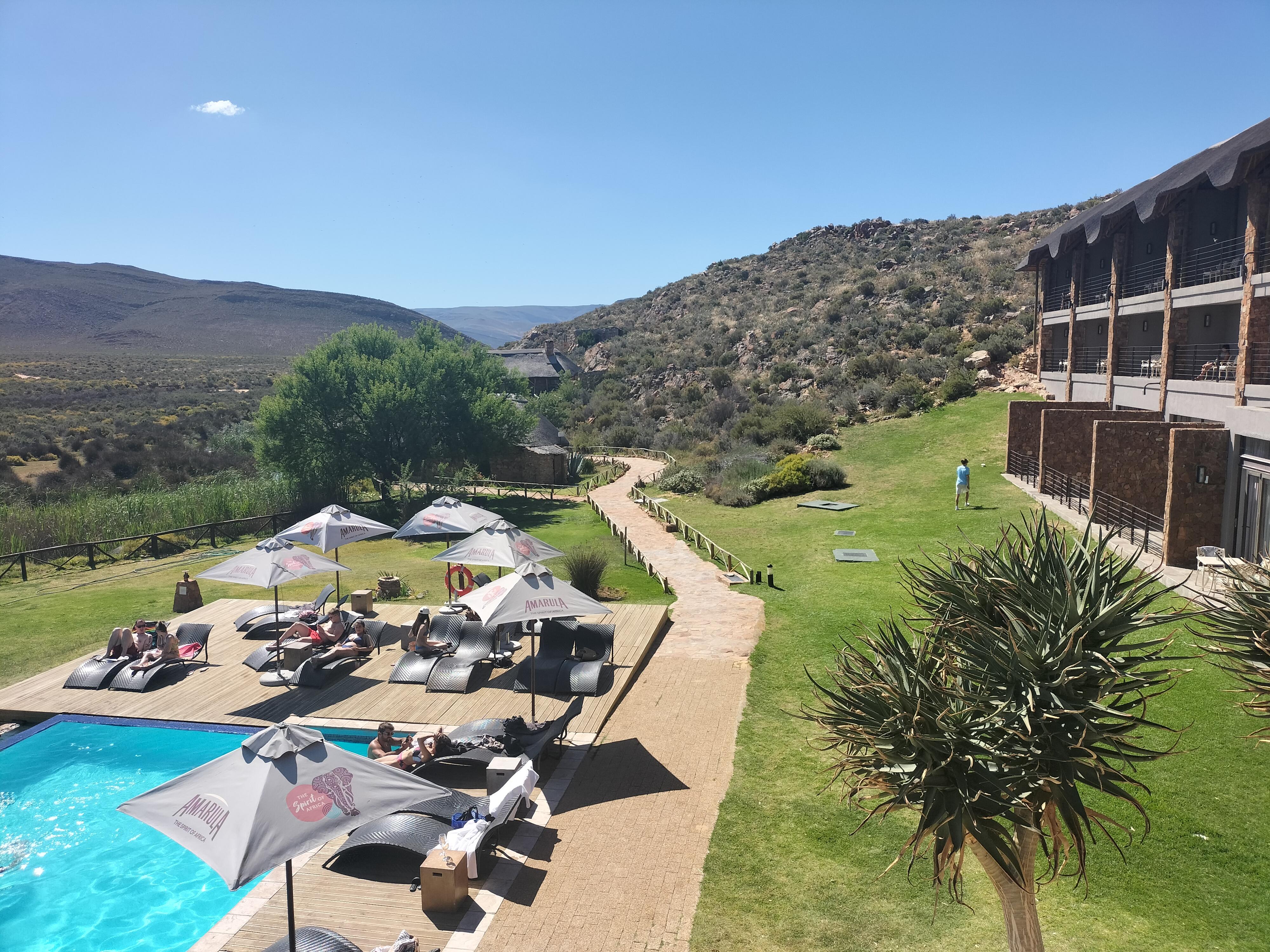 Private Tour: Big 5 Safari, Experience the wild animals – Cape Town, South Africa